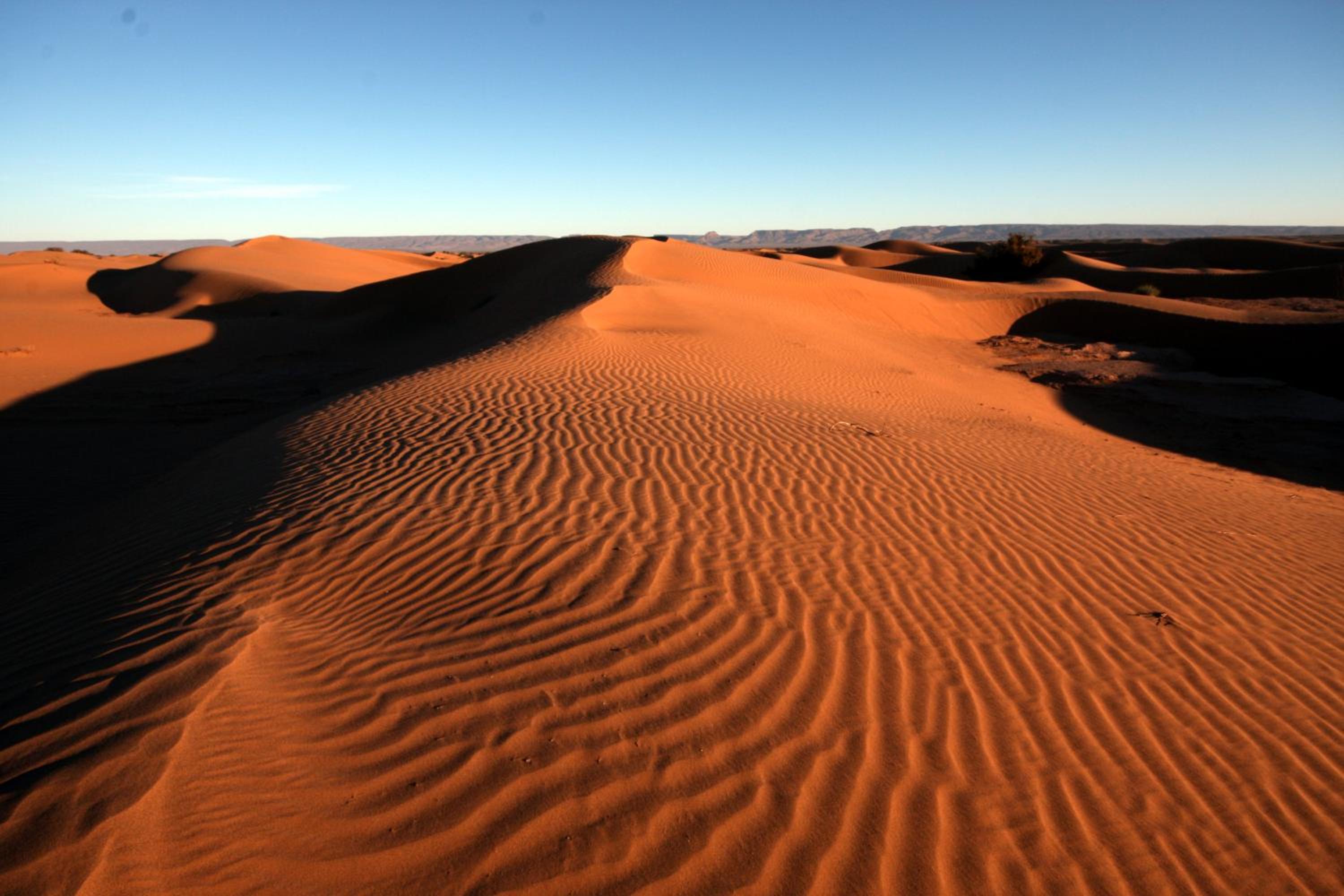 Sahara Desert Camp Mhamid - Bivouac Le Pacha view 4