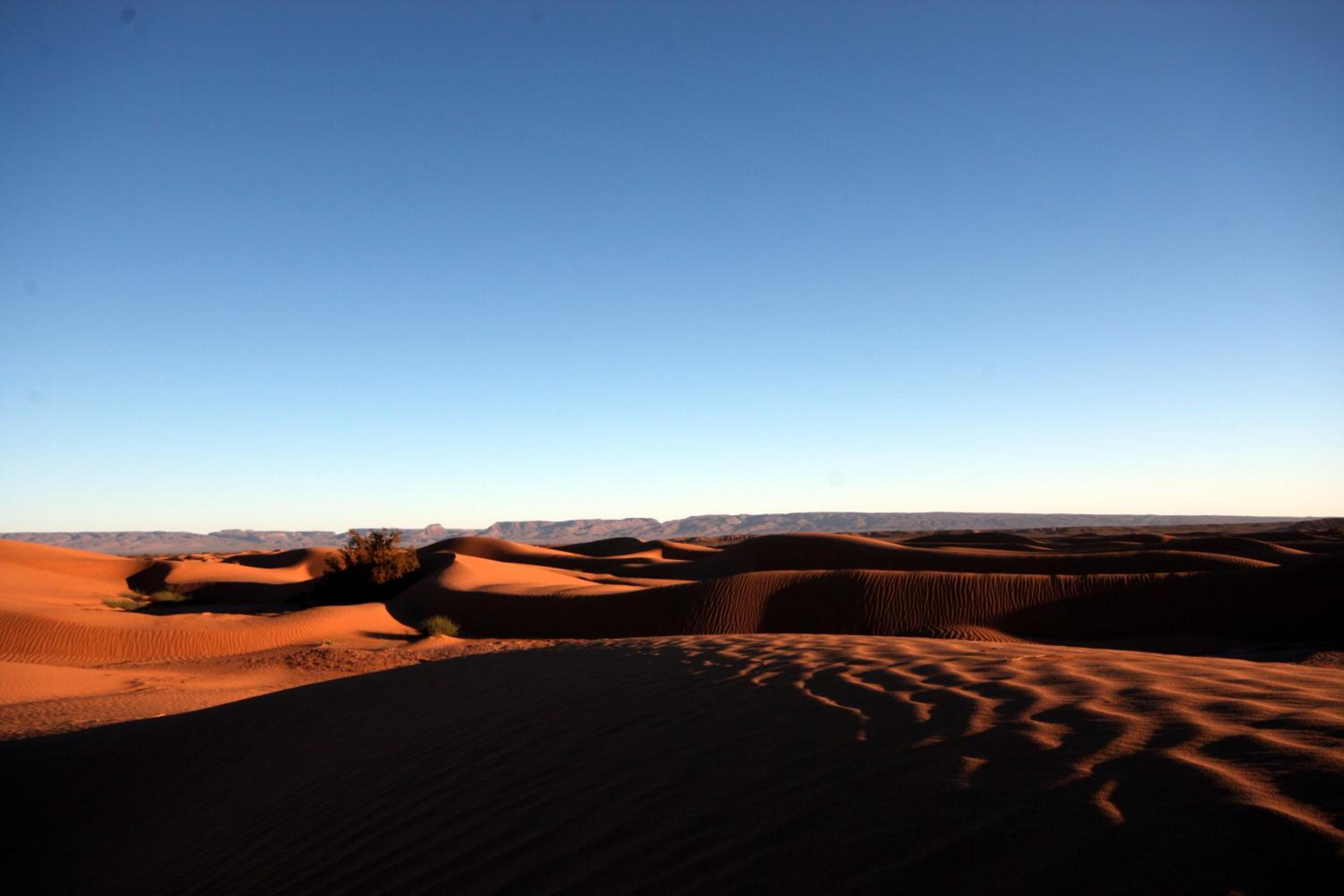 Sahara Desert Camp Mhamid - Bivouac Le Pacha view 5
