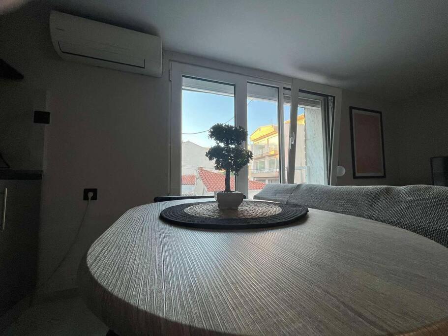 Cozy Studio in ALexandroupolis