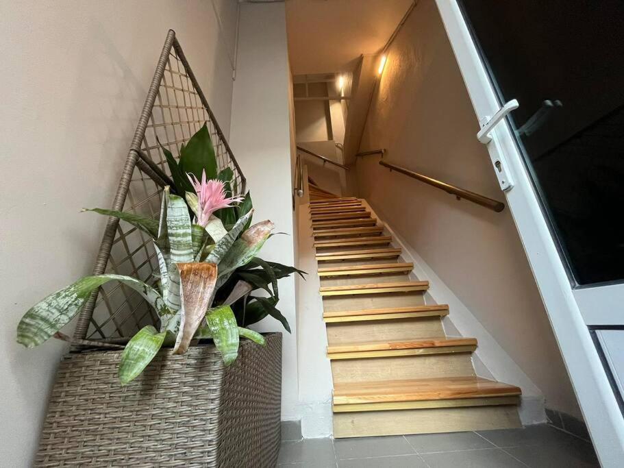 Cozy Studio in ALexandroupolis