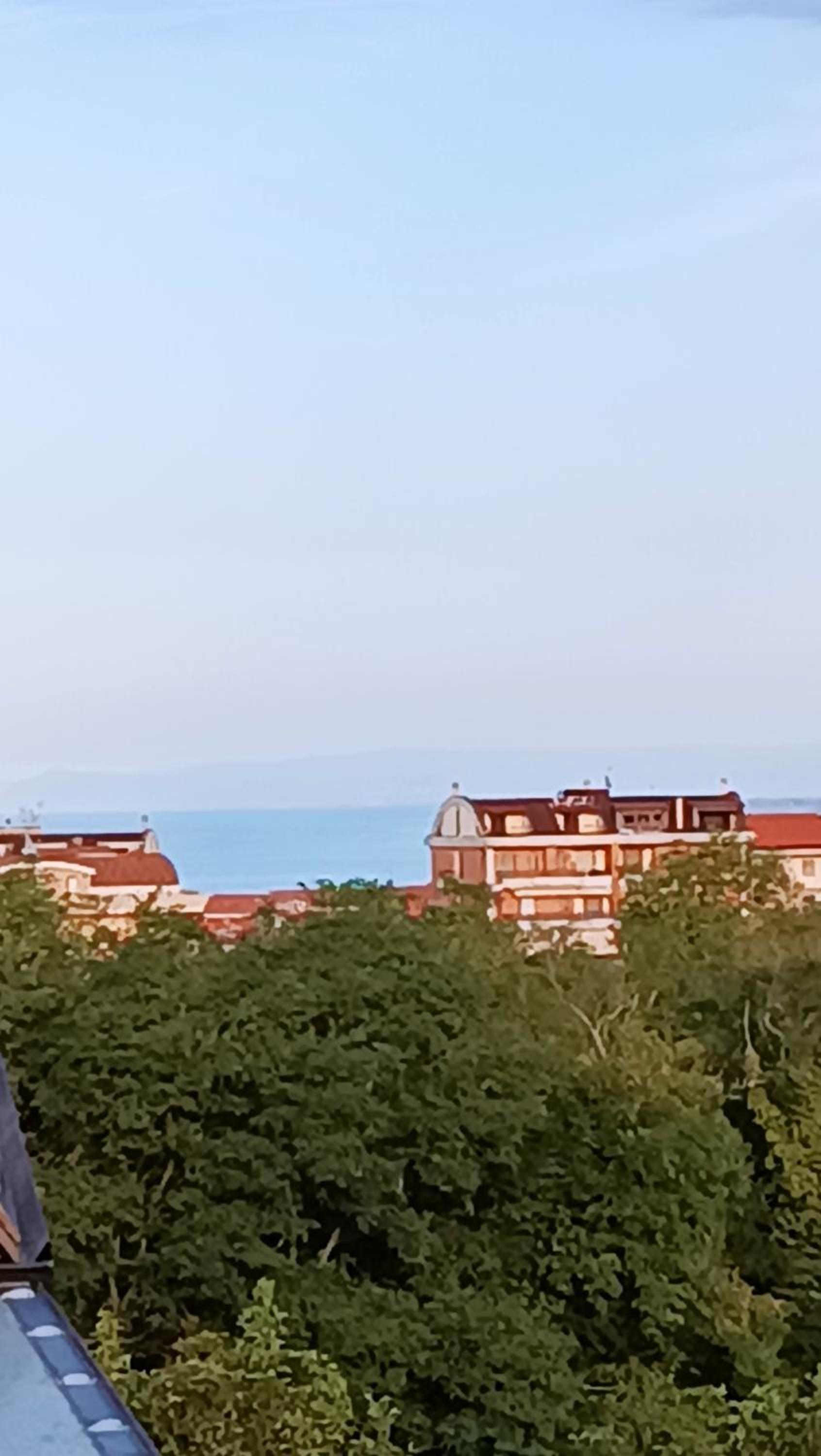 B&B "LE LUCI" SUPER CAMERA IN ATTICO interno 3 rose rosse view 3