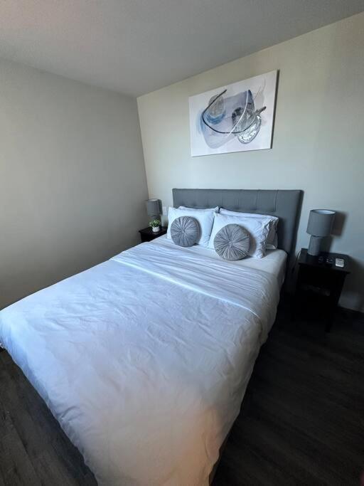 Panoramic view apt with A/C near SJO Airport & Stadium, Cosmopolitan Tower