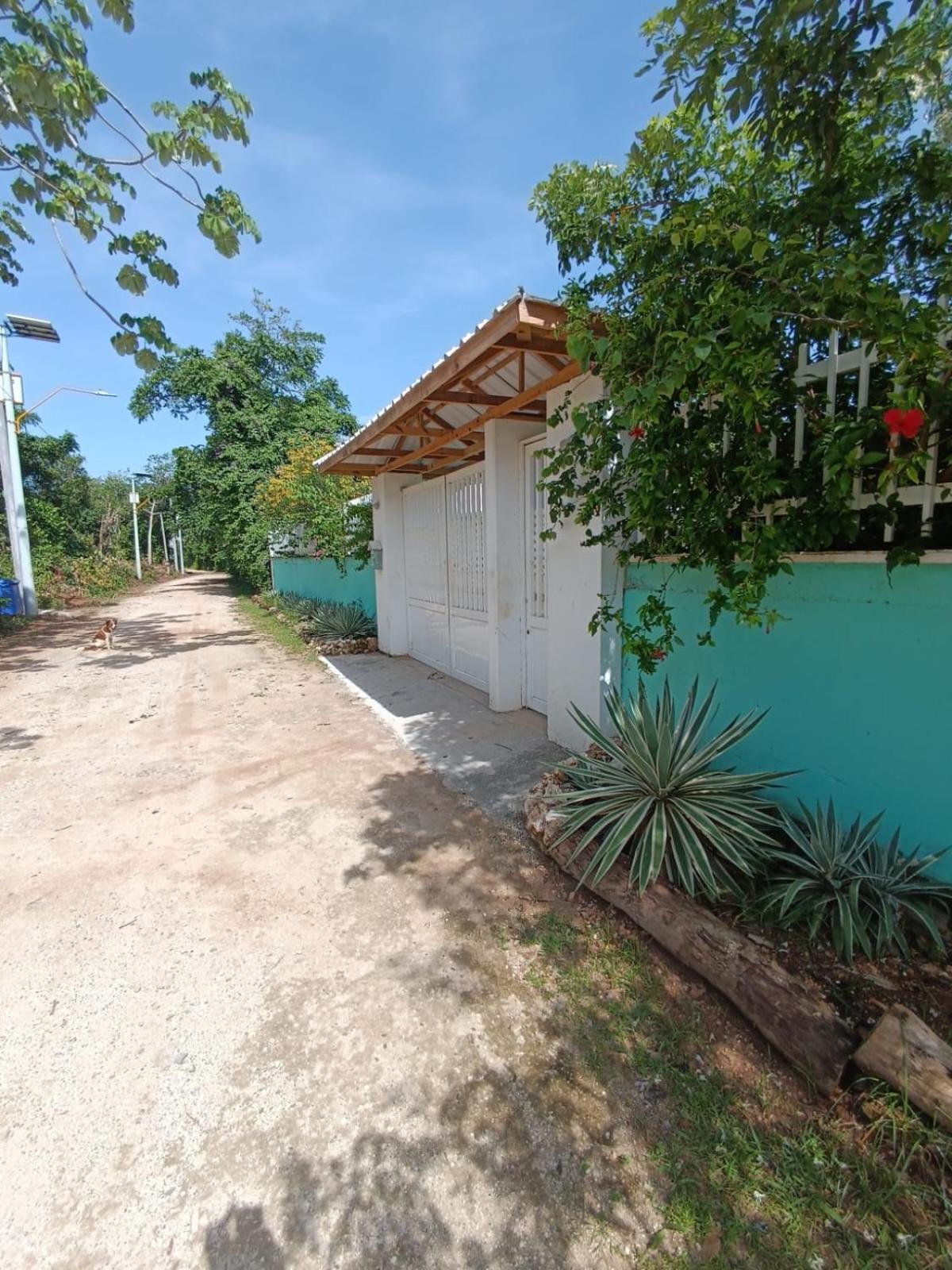 Photo 29
