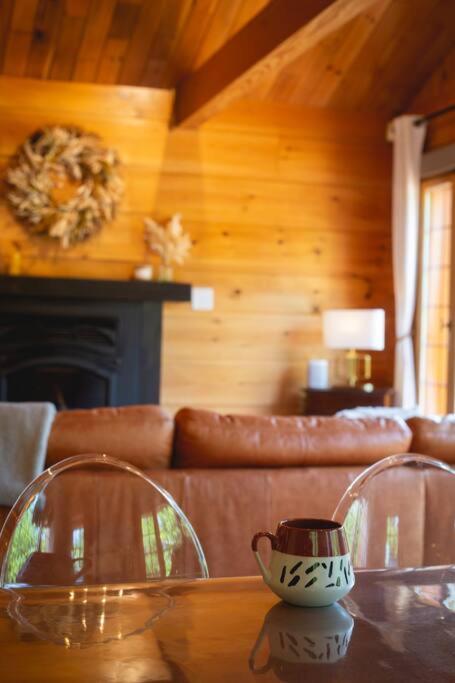 Chalet Le Crépuscule SPA, BILLARD, FOYER, SENTIERS PRIVES
