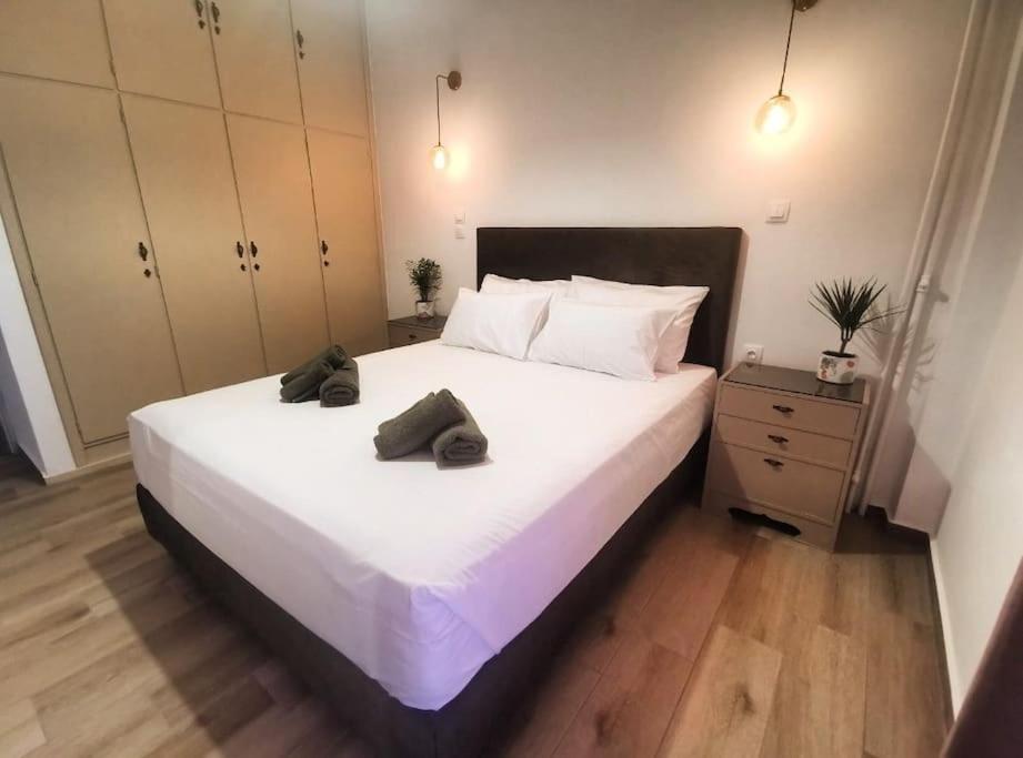 Erofili central apartment
