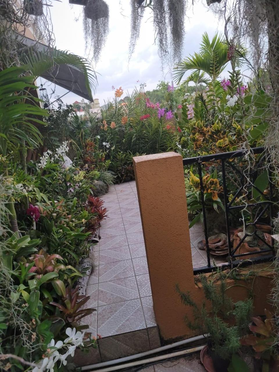 COMFORTING ORCHID OASIS view 3