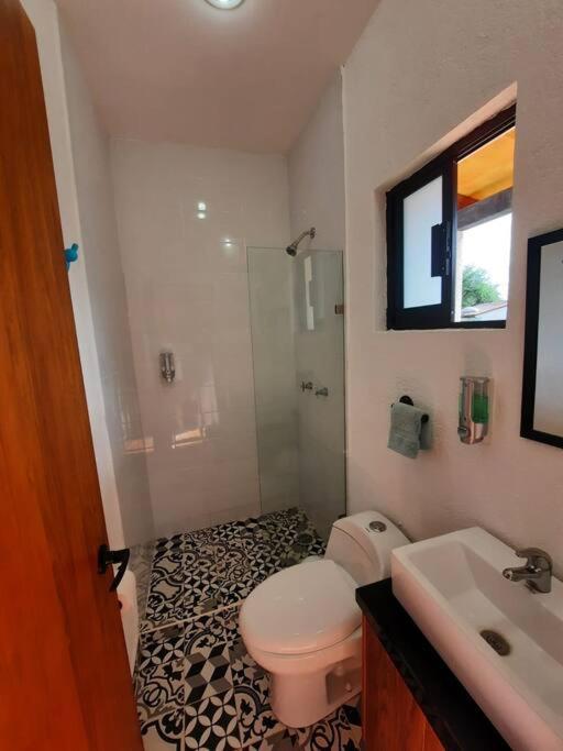 Photo 15