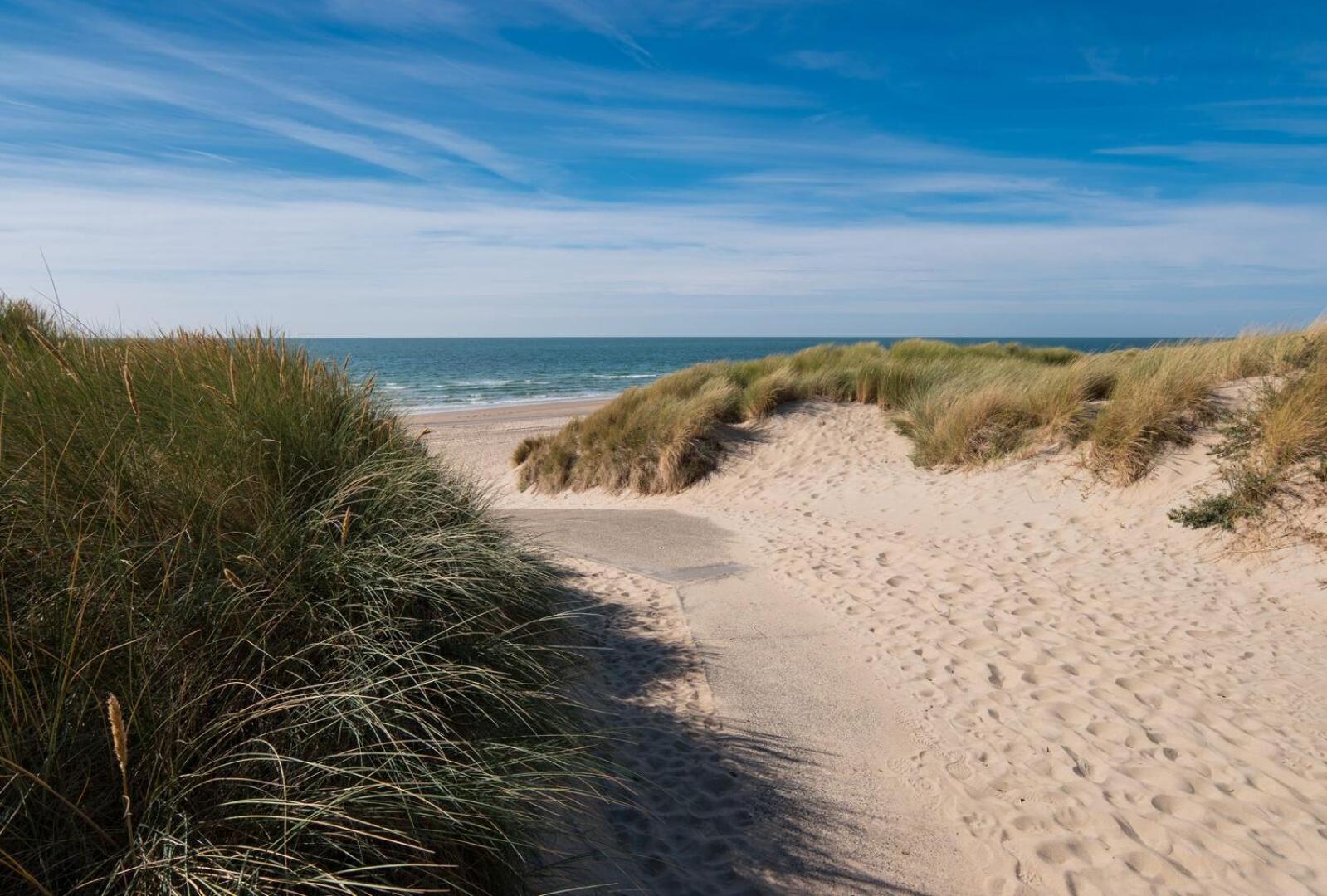 Sunny Studio - Only 5-Min Walk to Sea & Dunes view 3