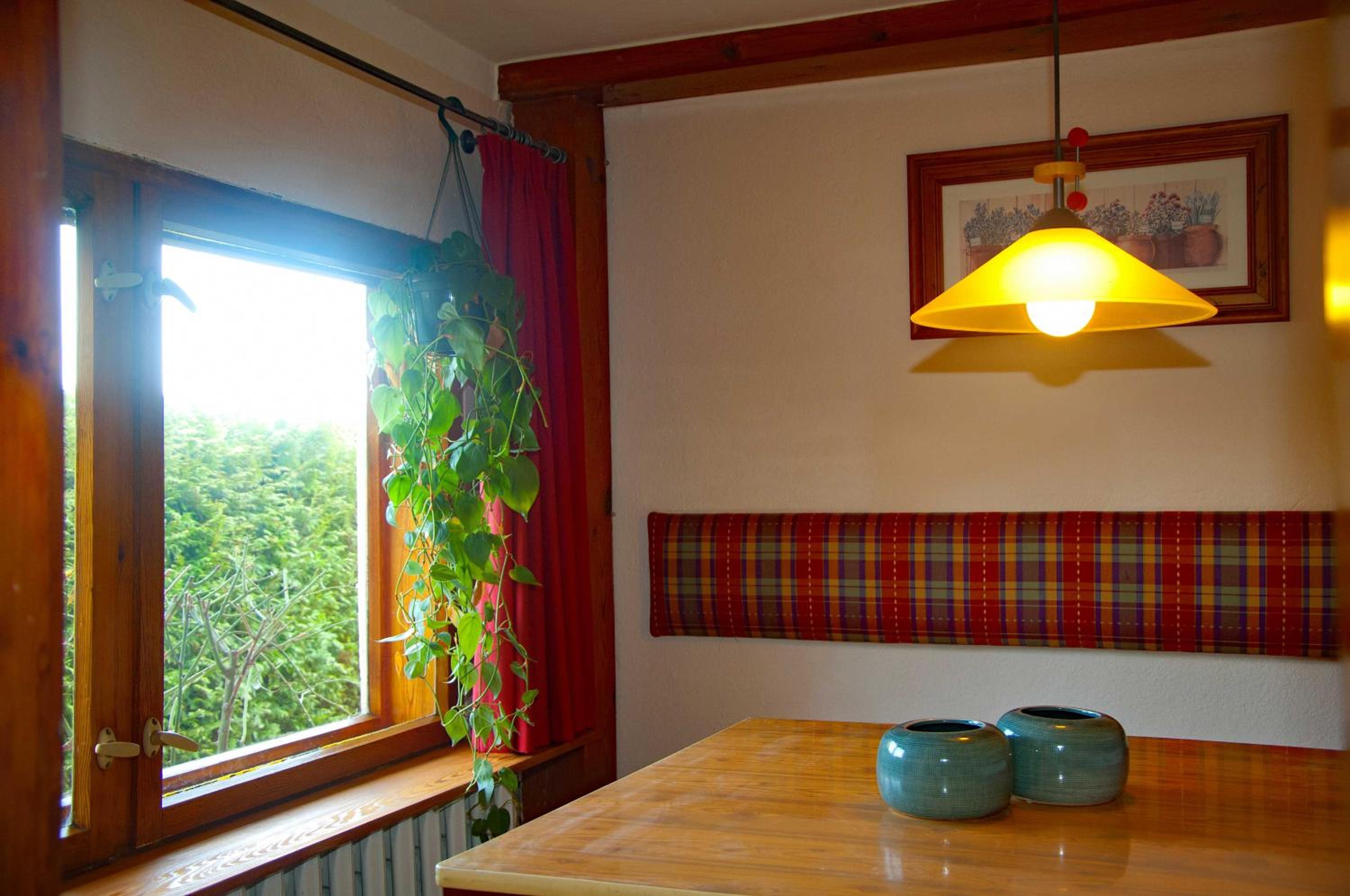 Reeddachhaus mit Seeblick - Ruhe - traumhafter Lage am Selliner See