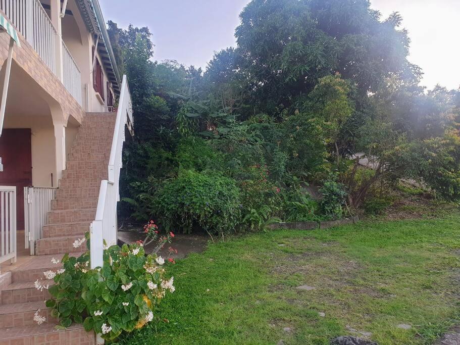 Location Hibiscus