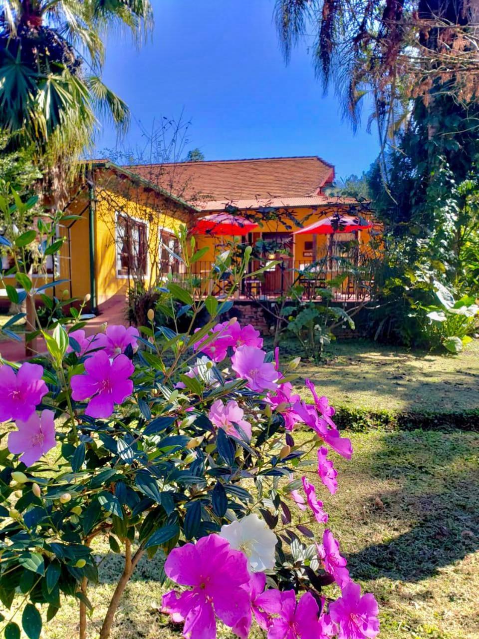 Hotel Suizo