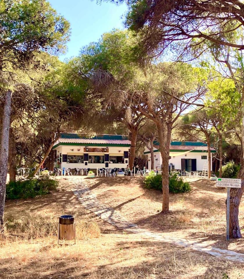 Apartamento primera línea de playa con piscina
