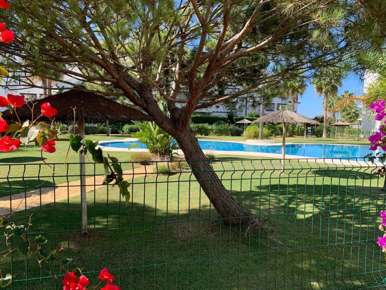 Apartamento primera línea de playa con piscina