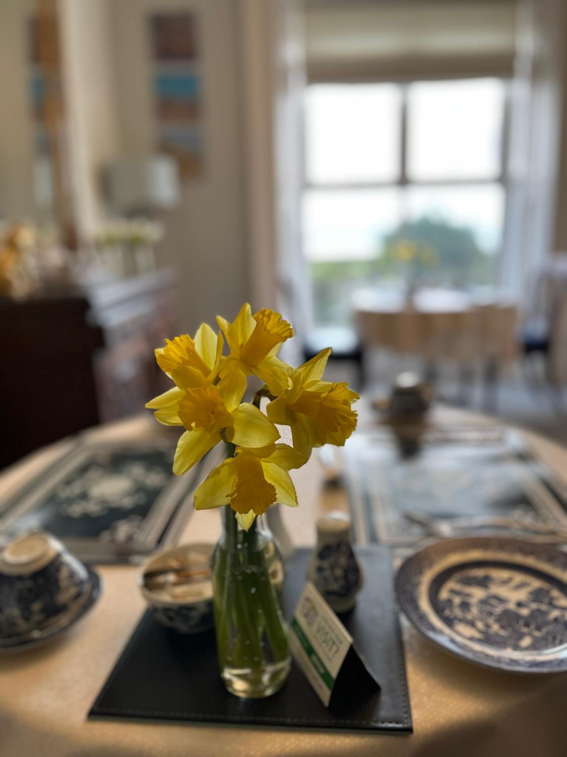 Tides Reach Guest House