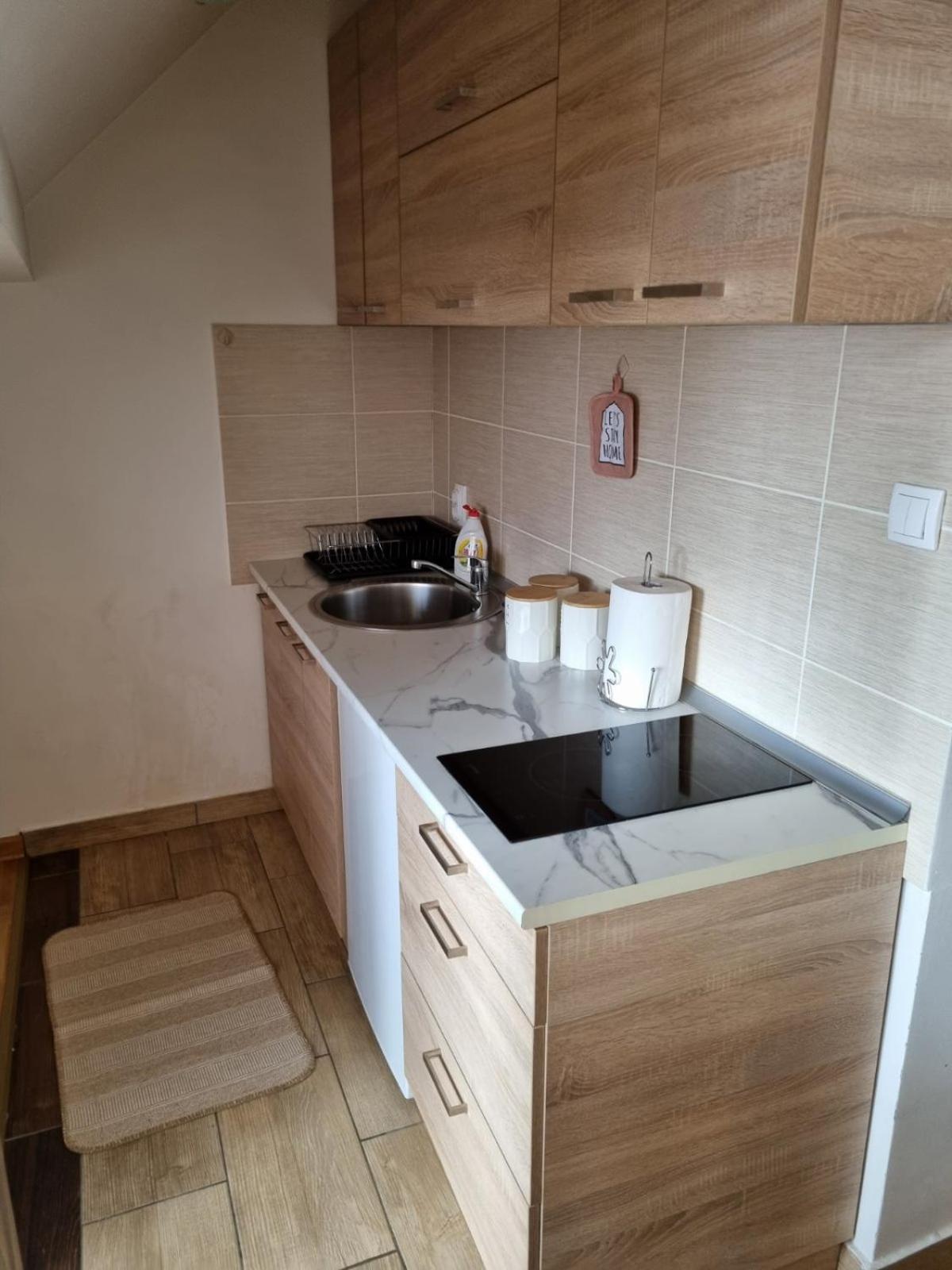 Apartman Iskra 2 view 5