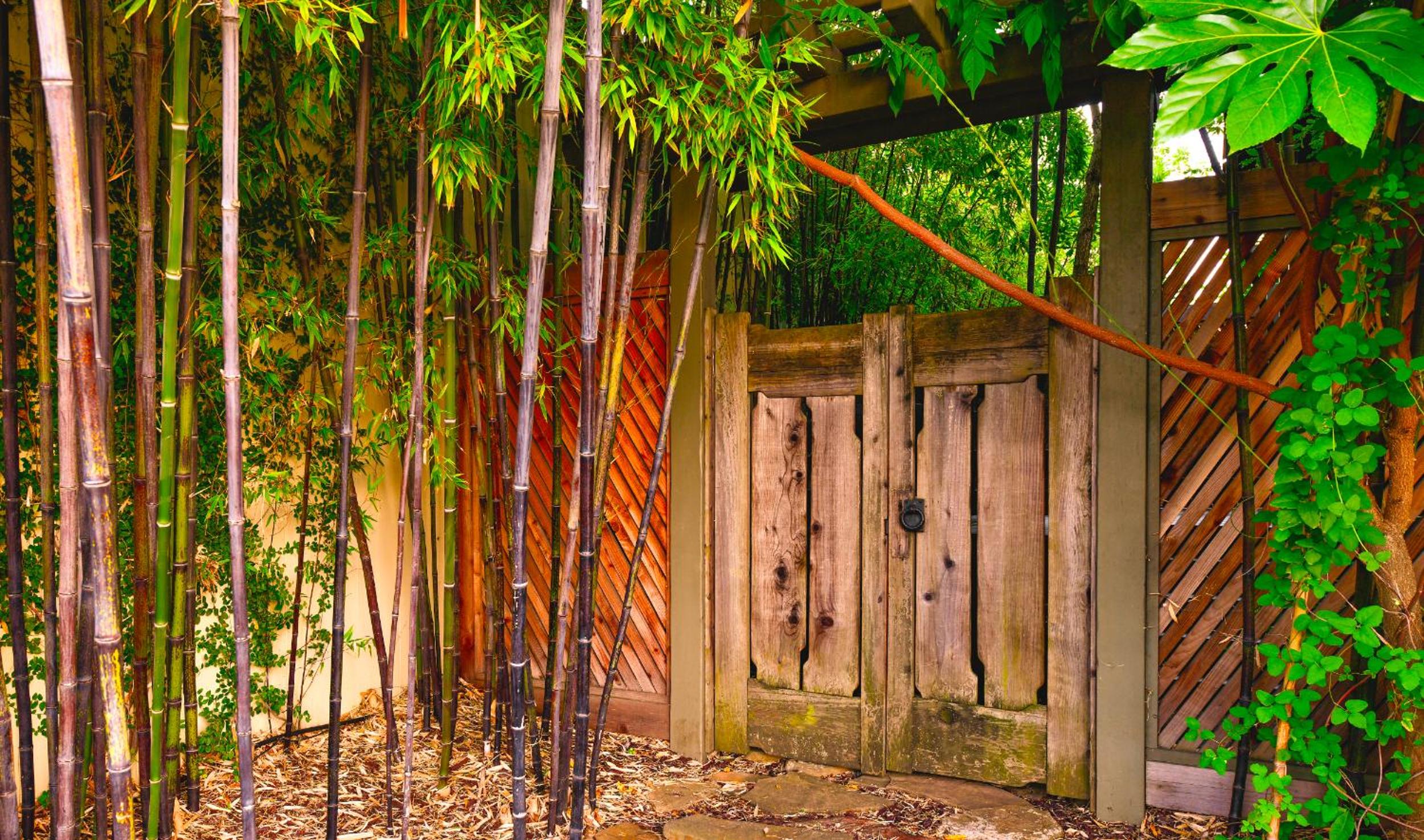 Maui Vacations - Blackbird Inn - Property Image 58