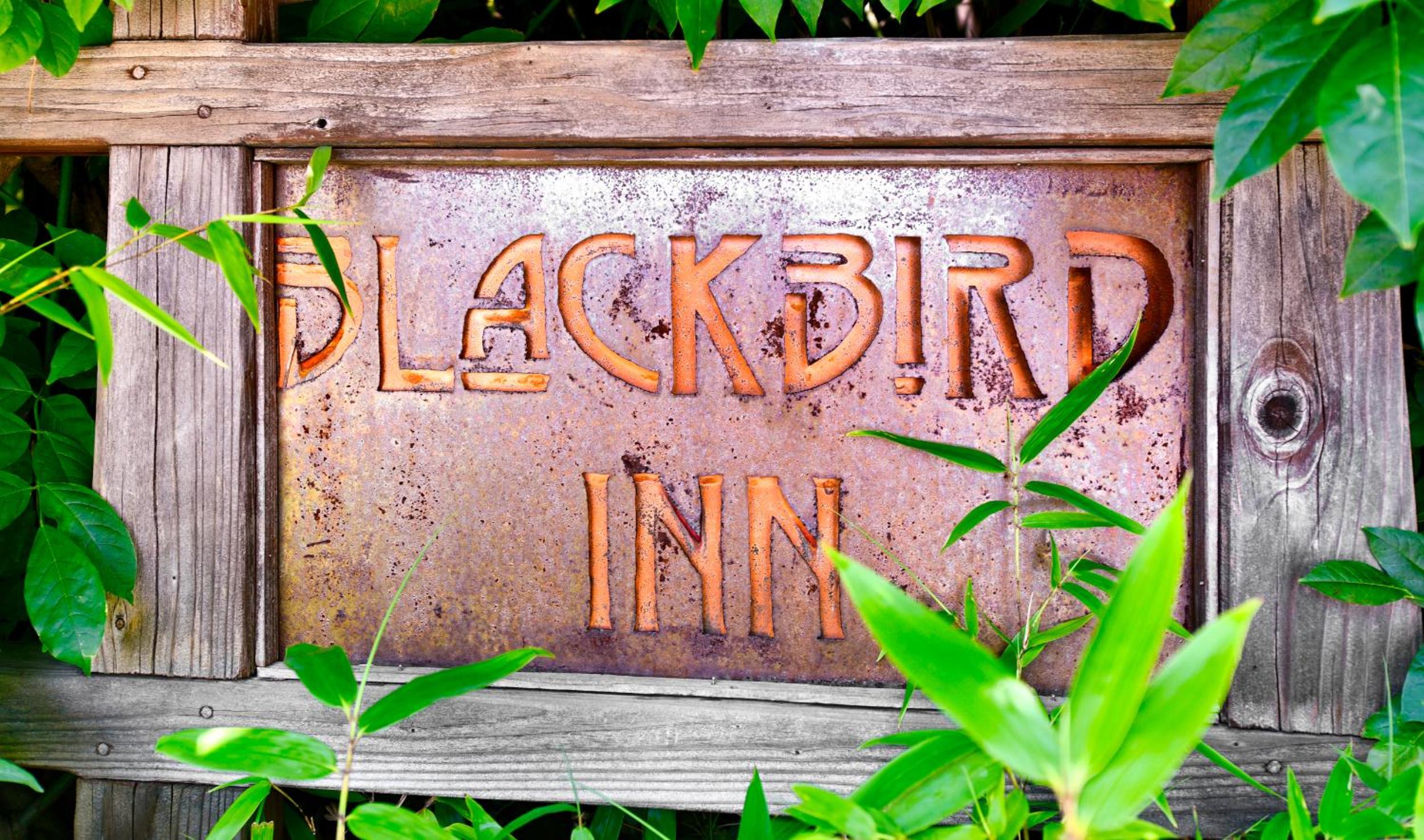Maui Vacations - Blackbird Inn - Property Image 57
