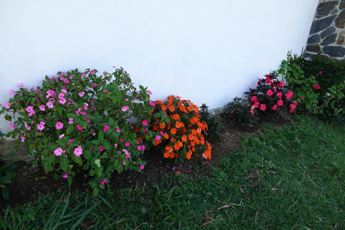 Cabañas Finca Las Aguas