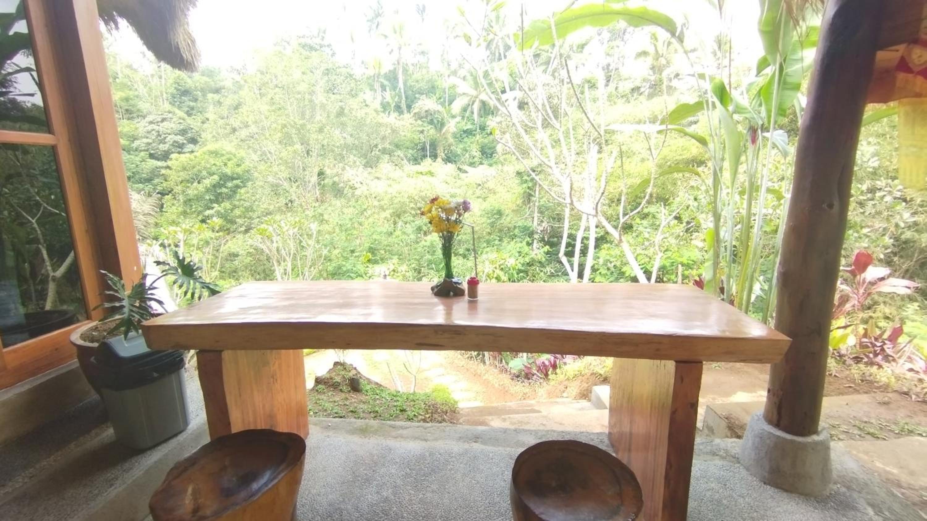 Bali Jungle Taksu view 4