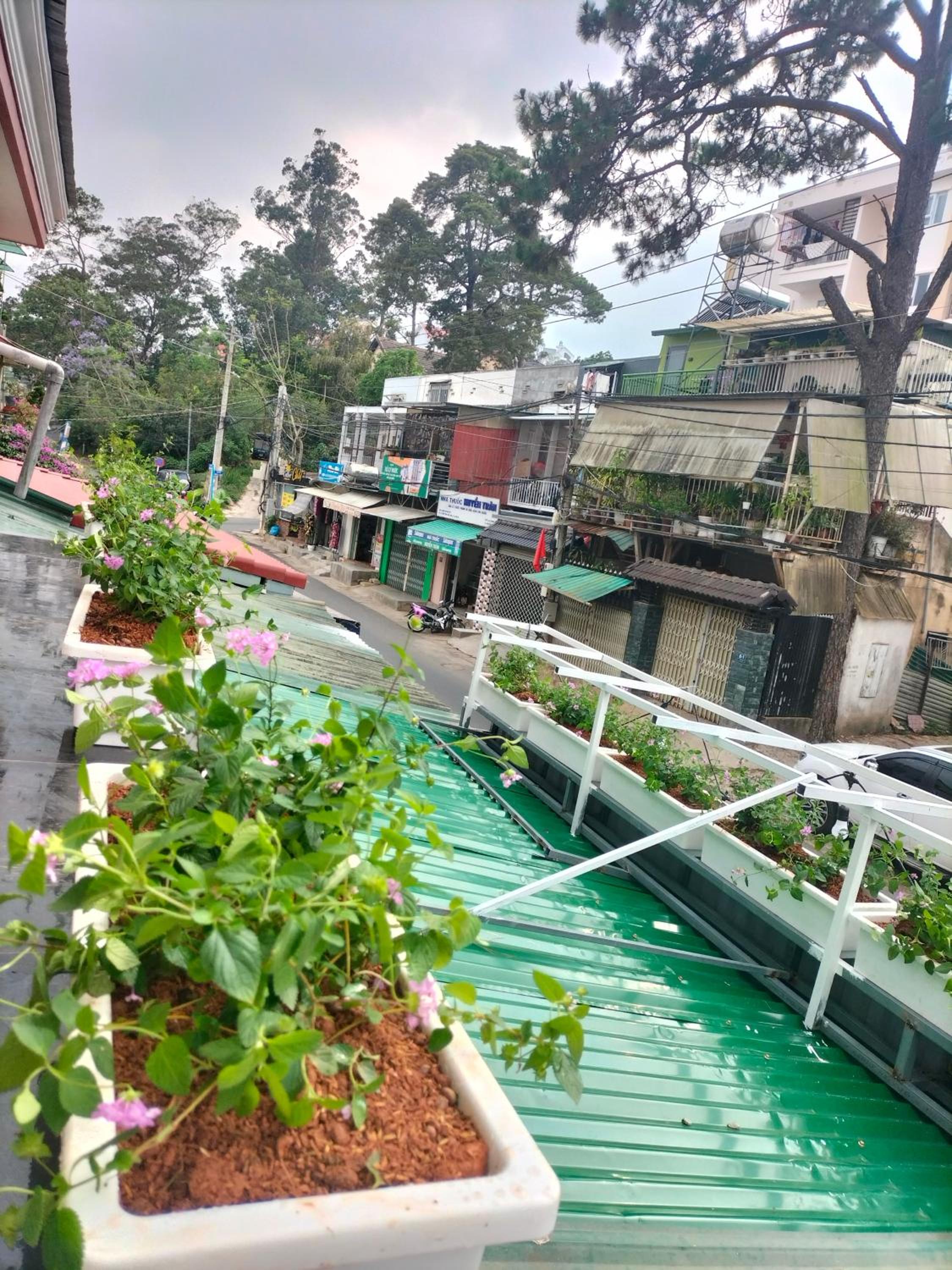 Chất home view 2