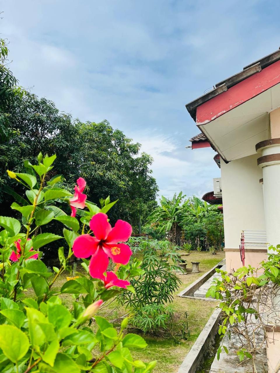Sofea Homestay Ipoh photo 8
