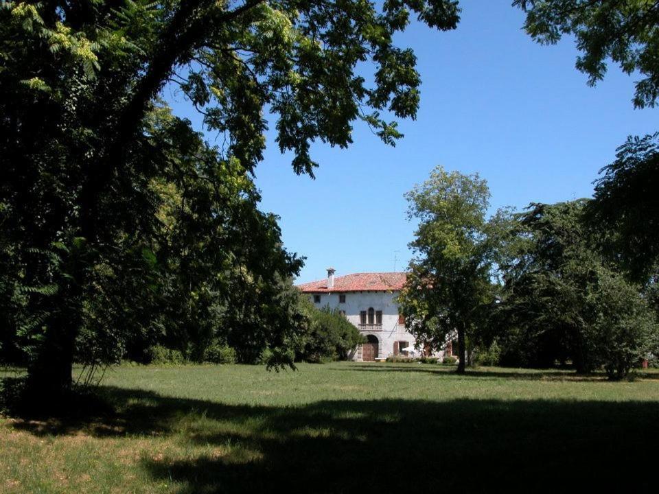 Photo 24