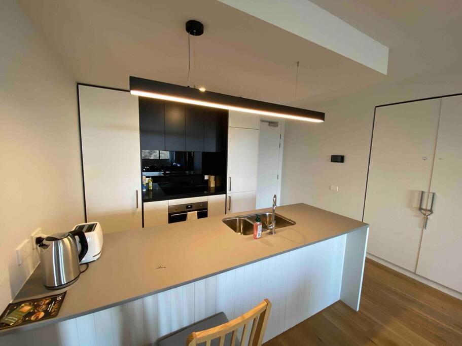 Brand New 2B2B Apt (City, Chinatown, free Parking)