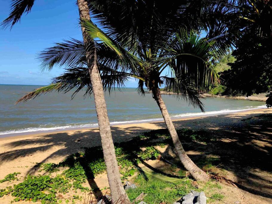 Sunbird Studio Apartment: private apartment walking distance from the beach