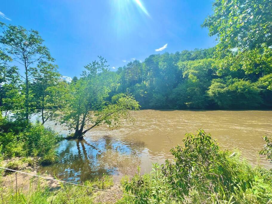Photo 47