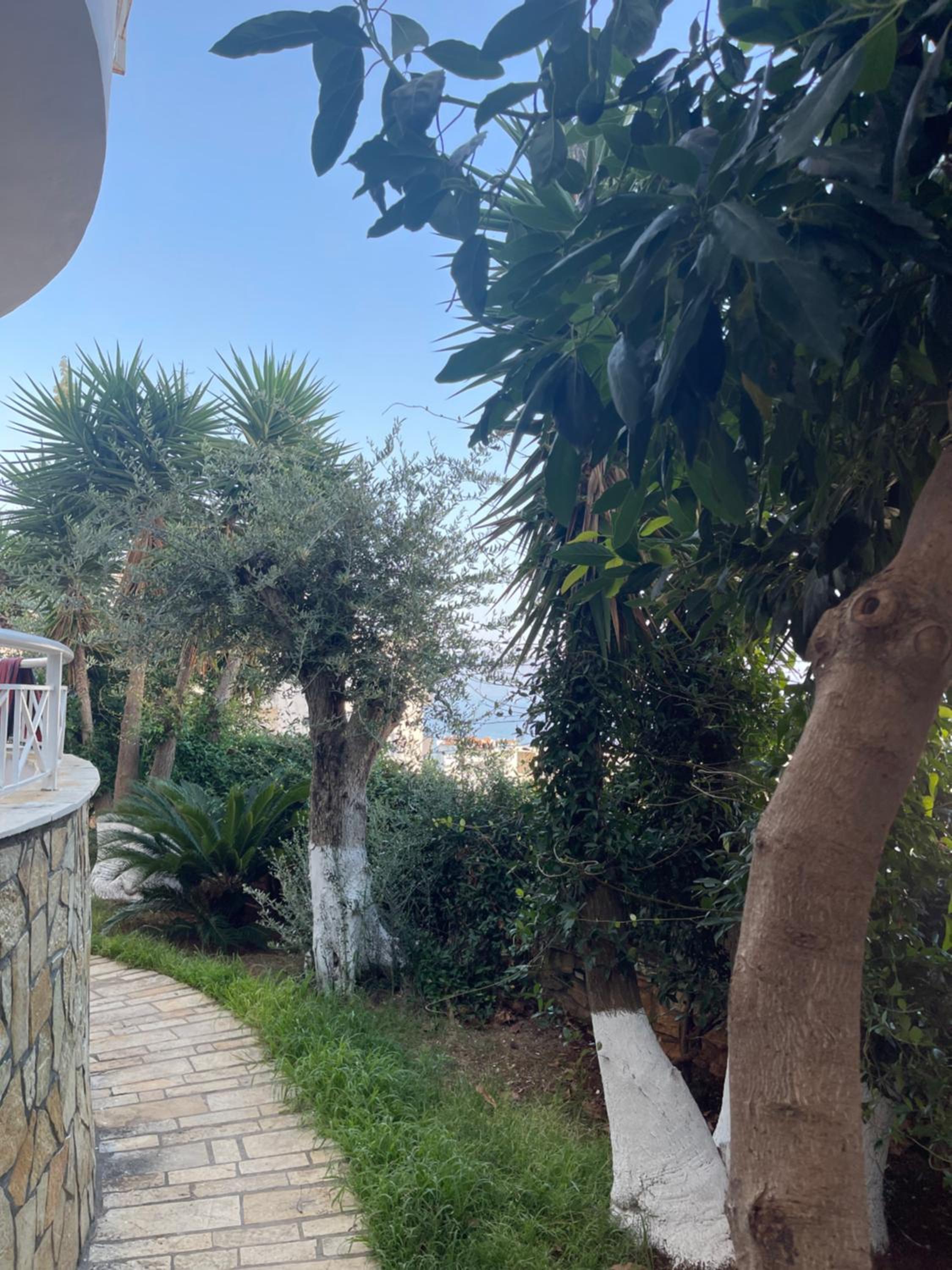 ENTi Apartments - Mango Beach