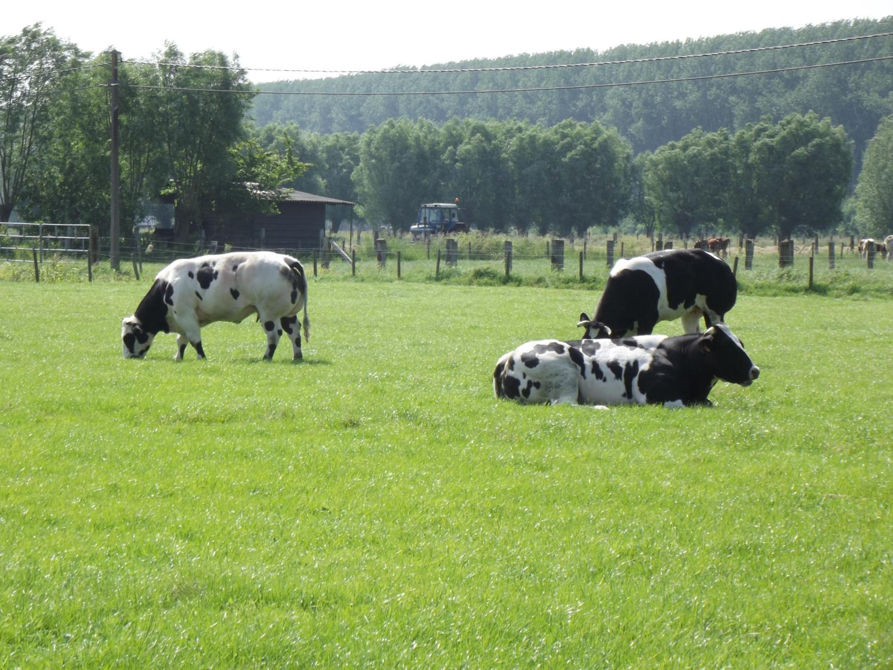 B&B Altijd Genieten