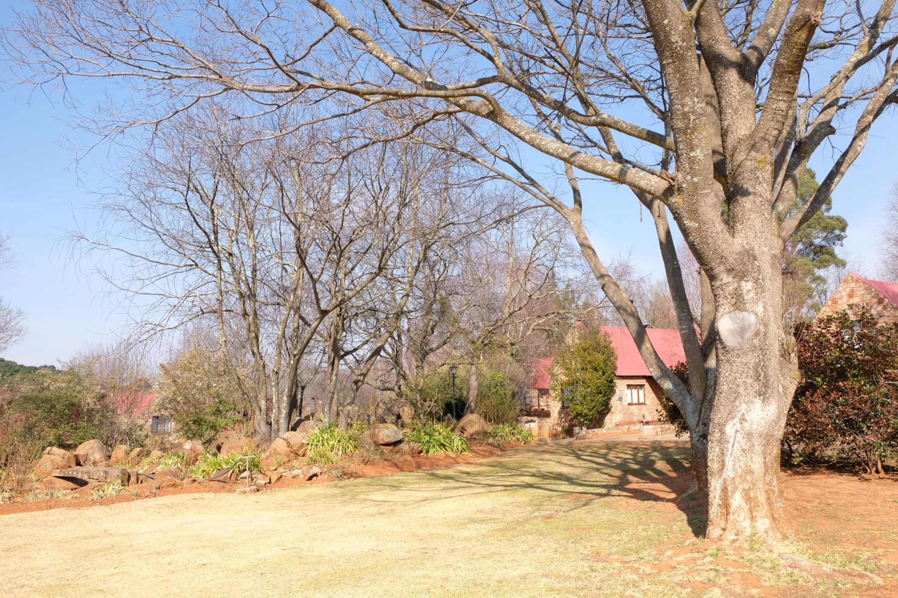 Mountain View Cottage