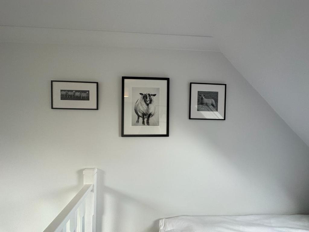 The Annex, Westerlands, Graffham