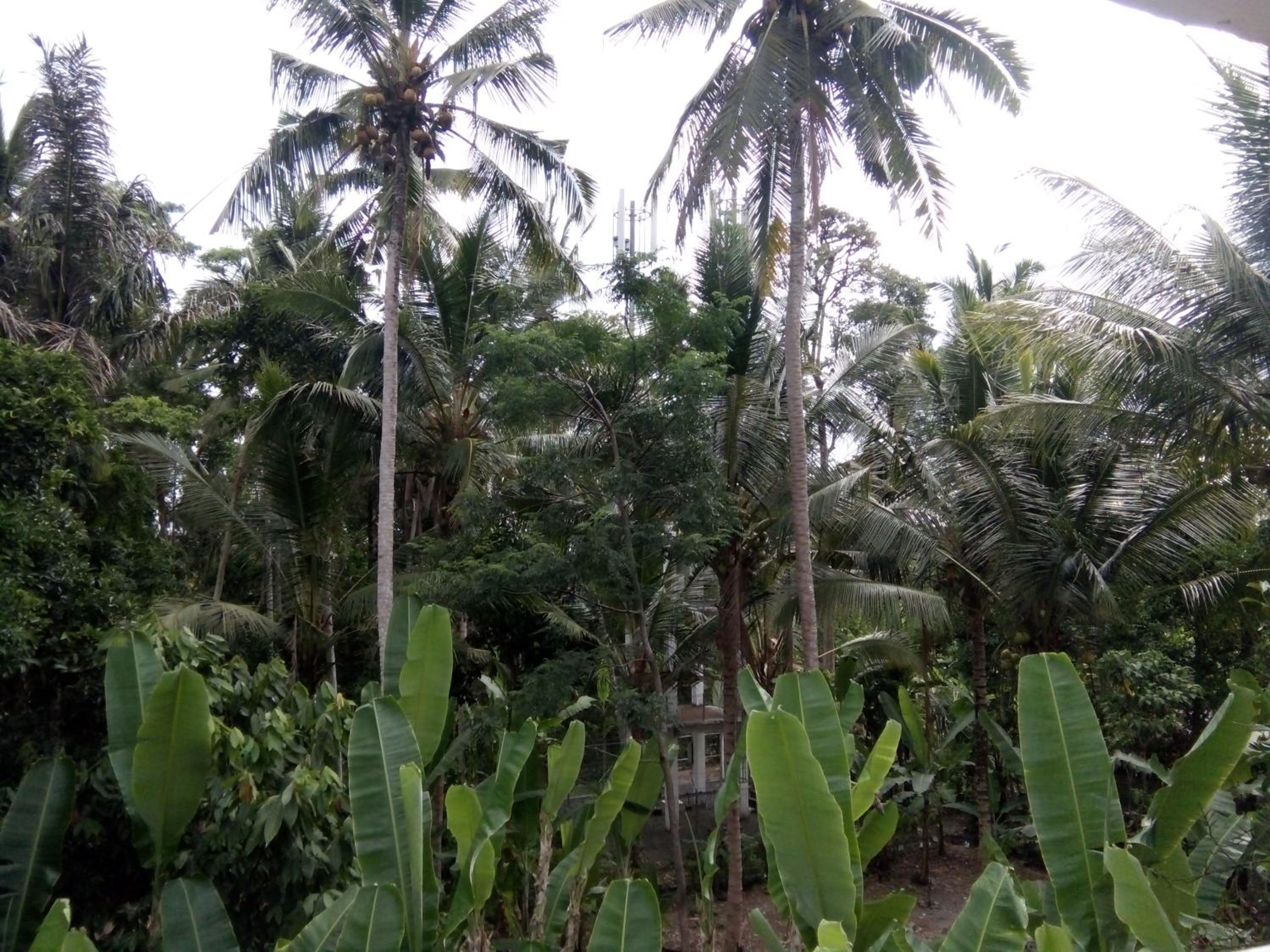 Manada Guest House, Ubud - 17