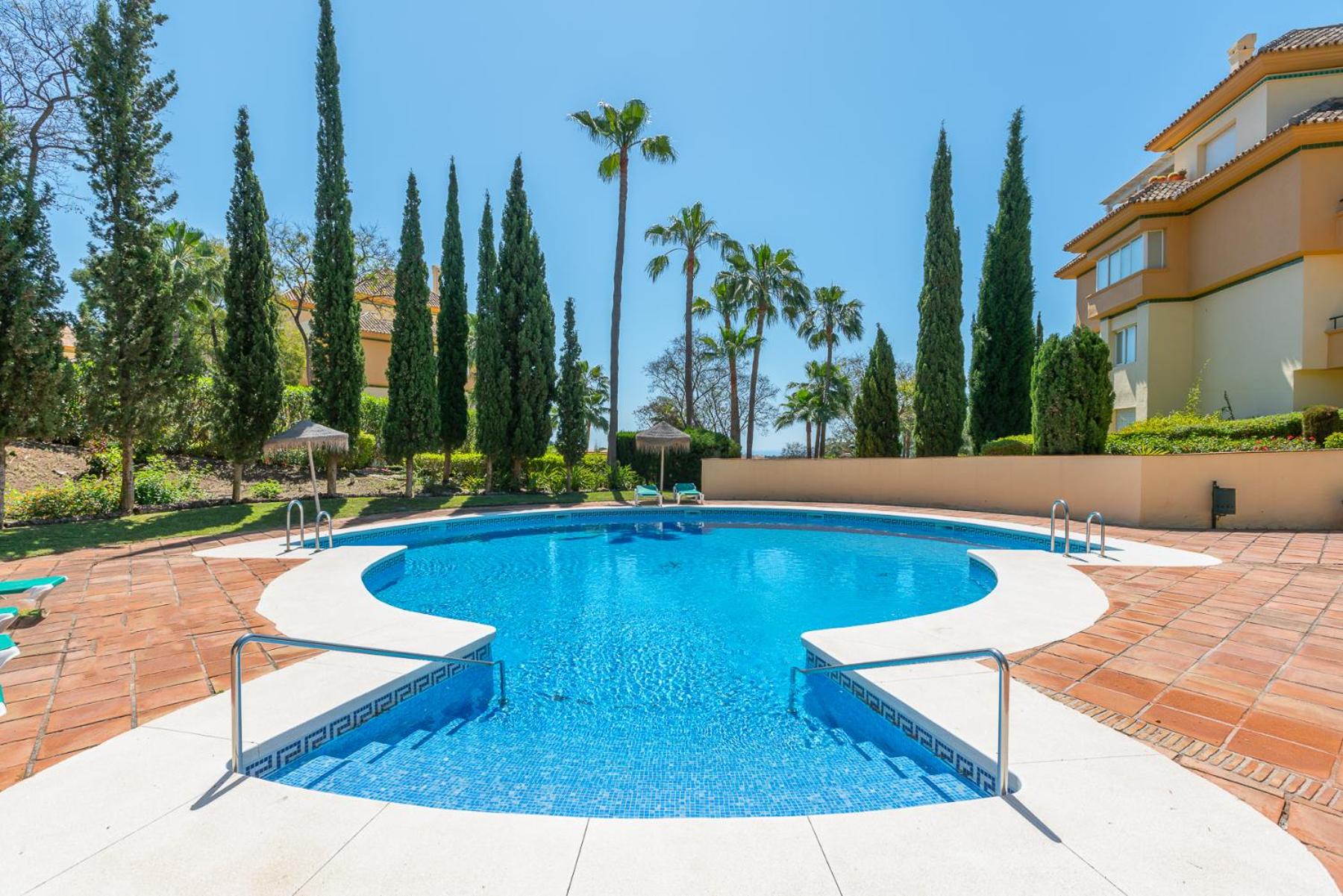 Precioso Apart Elvira Hills.
