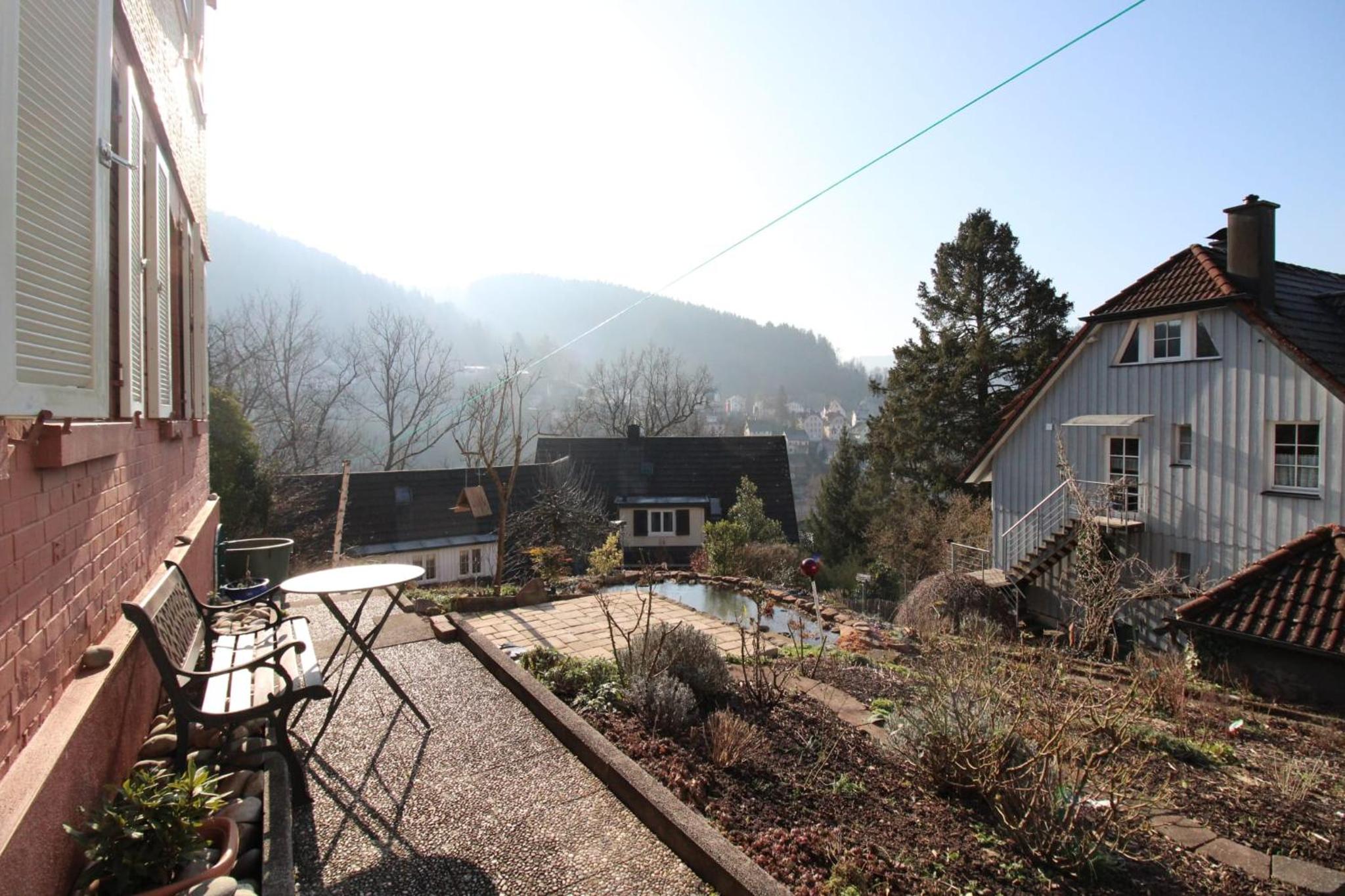 Schwarzwaldblick
