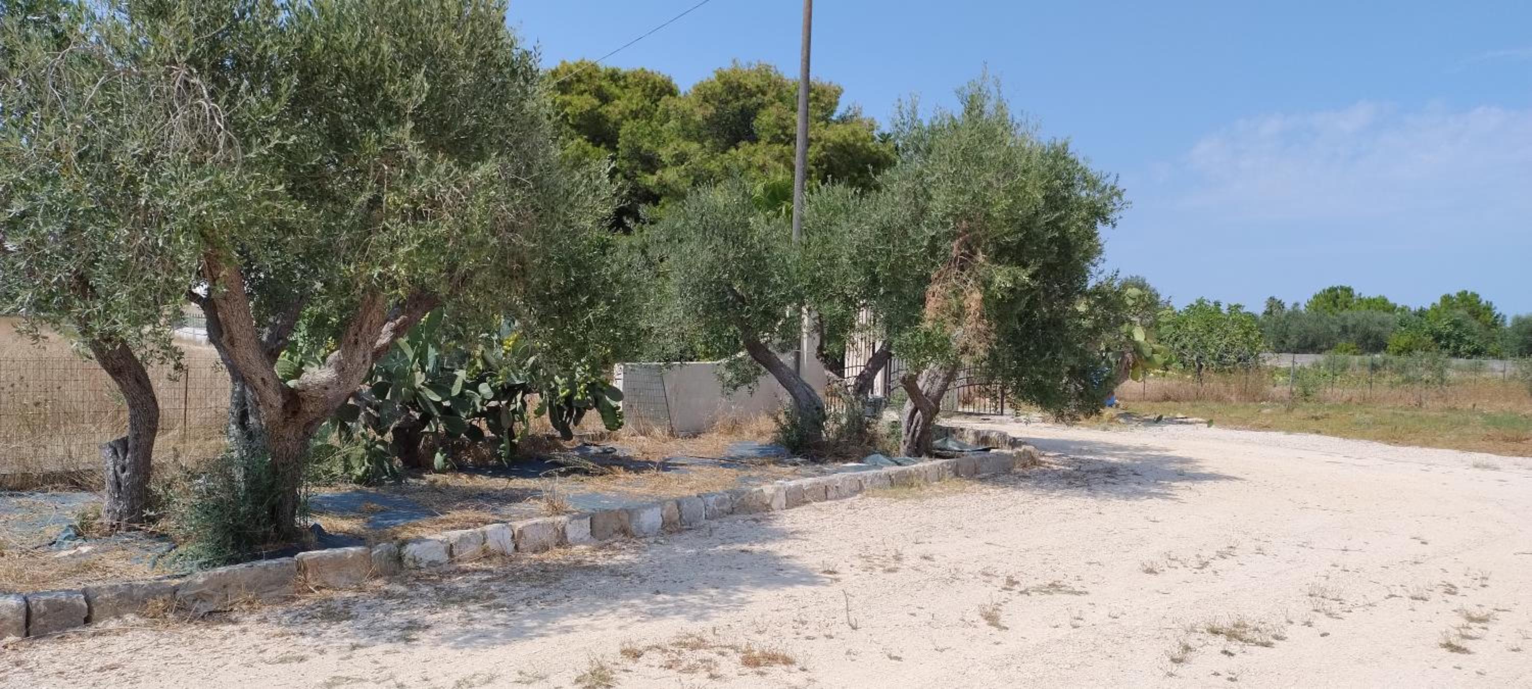 Villa DonnaMaria