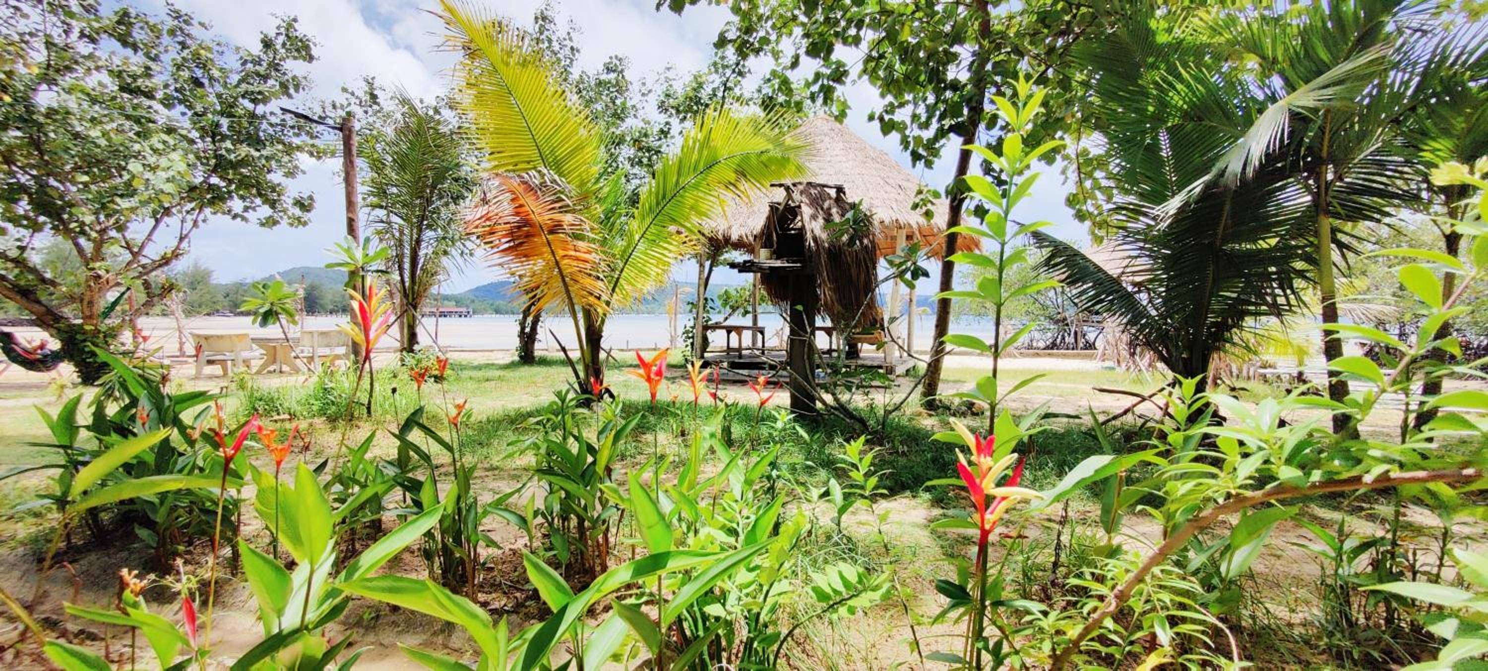 Mangrove Beach Bungalows