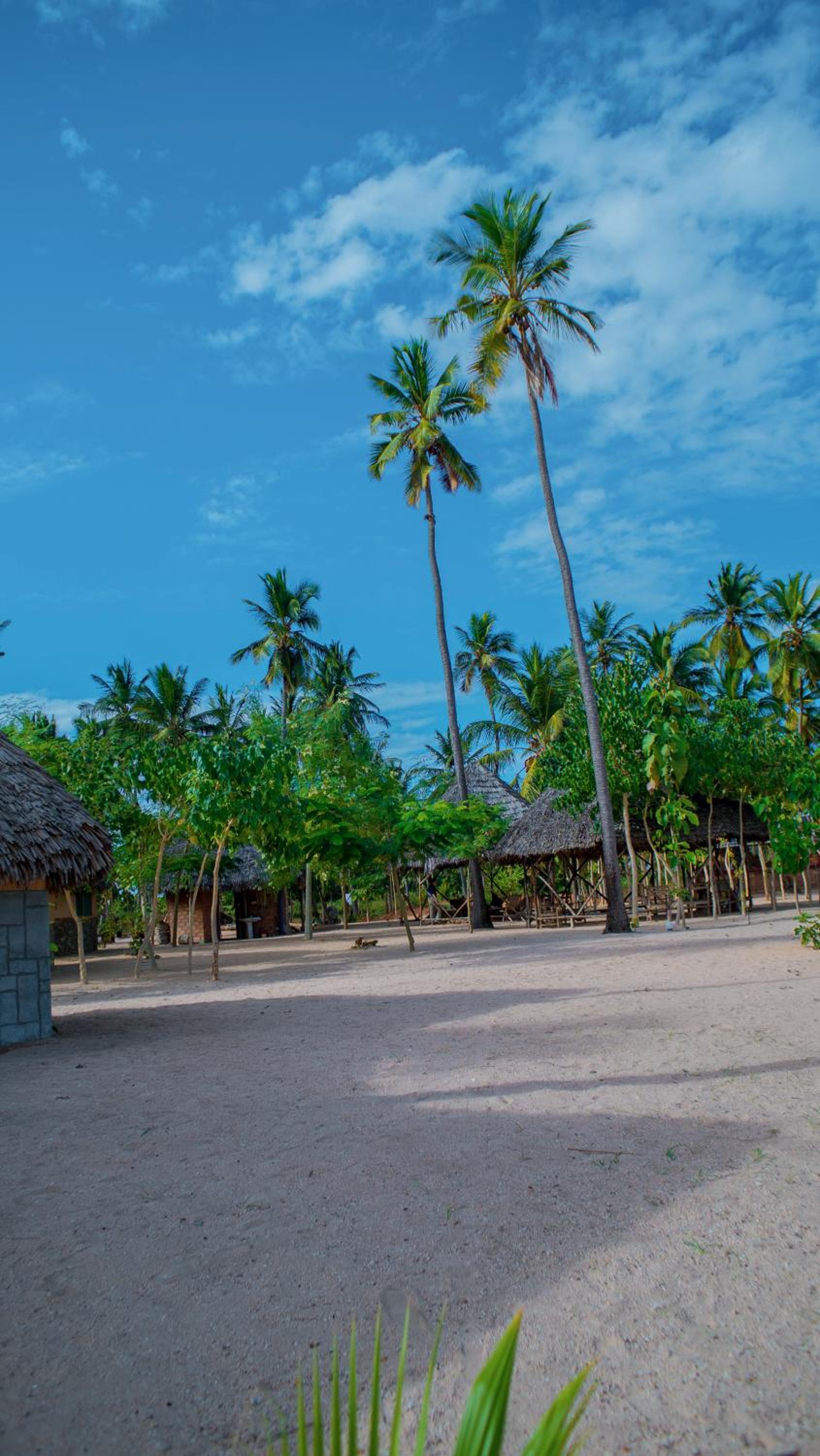 AFLII Beach Resort view 5