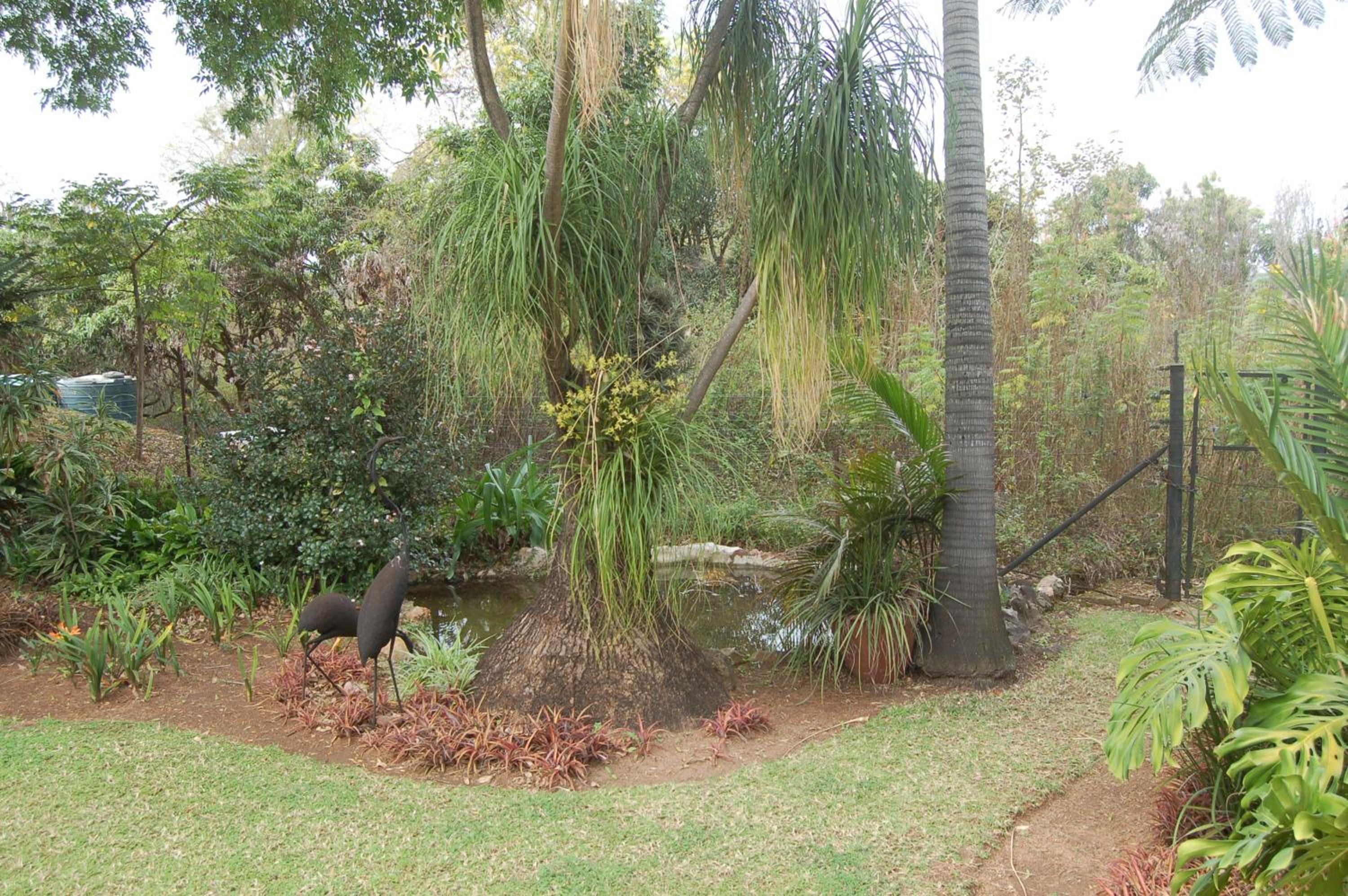 Photo 45