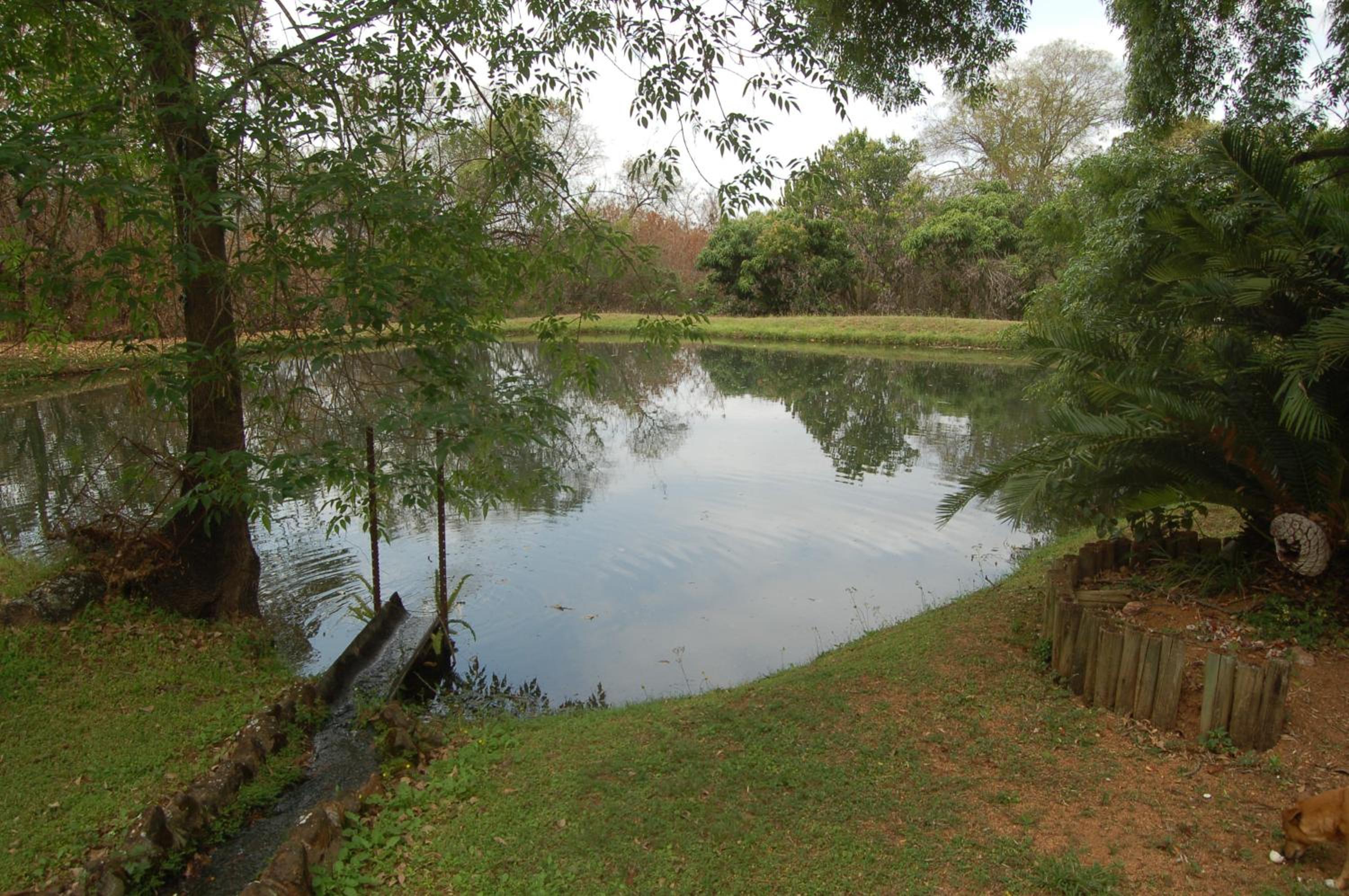 Photo 26