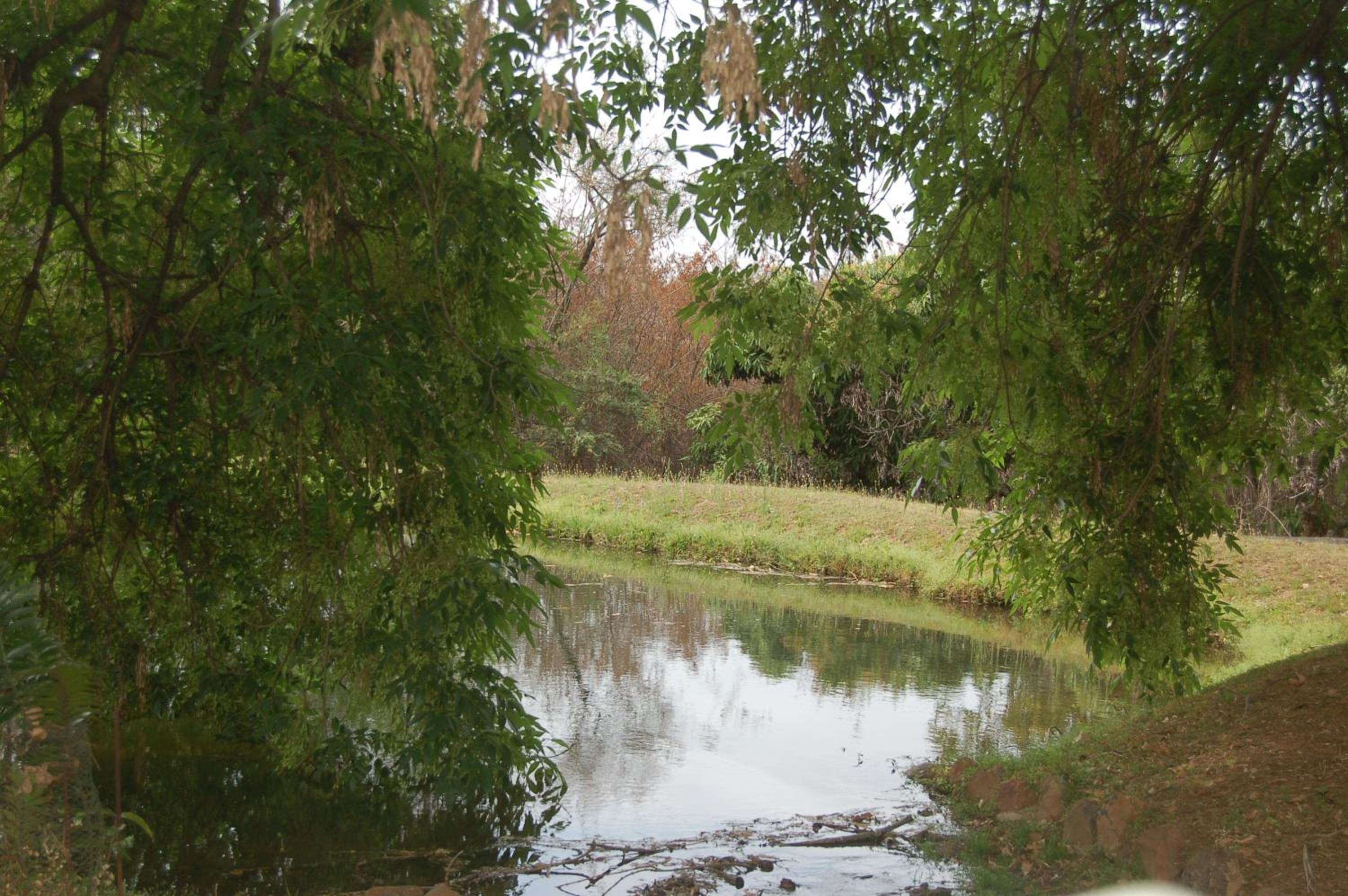 Photo 28