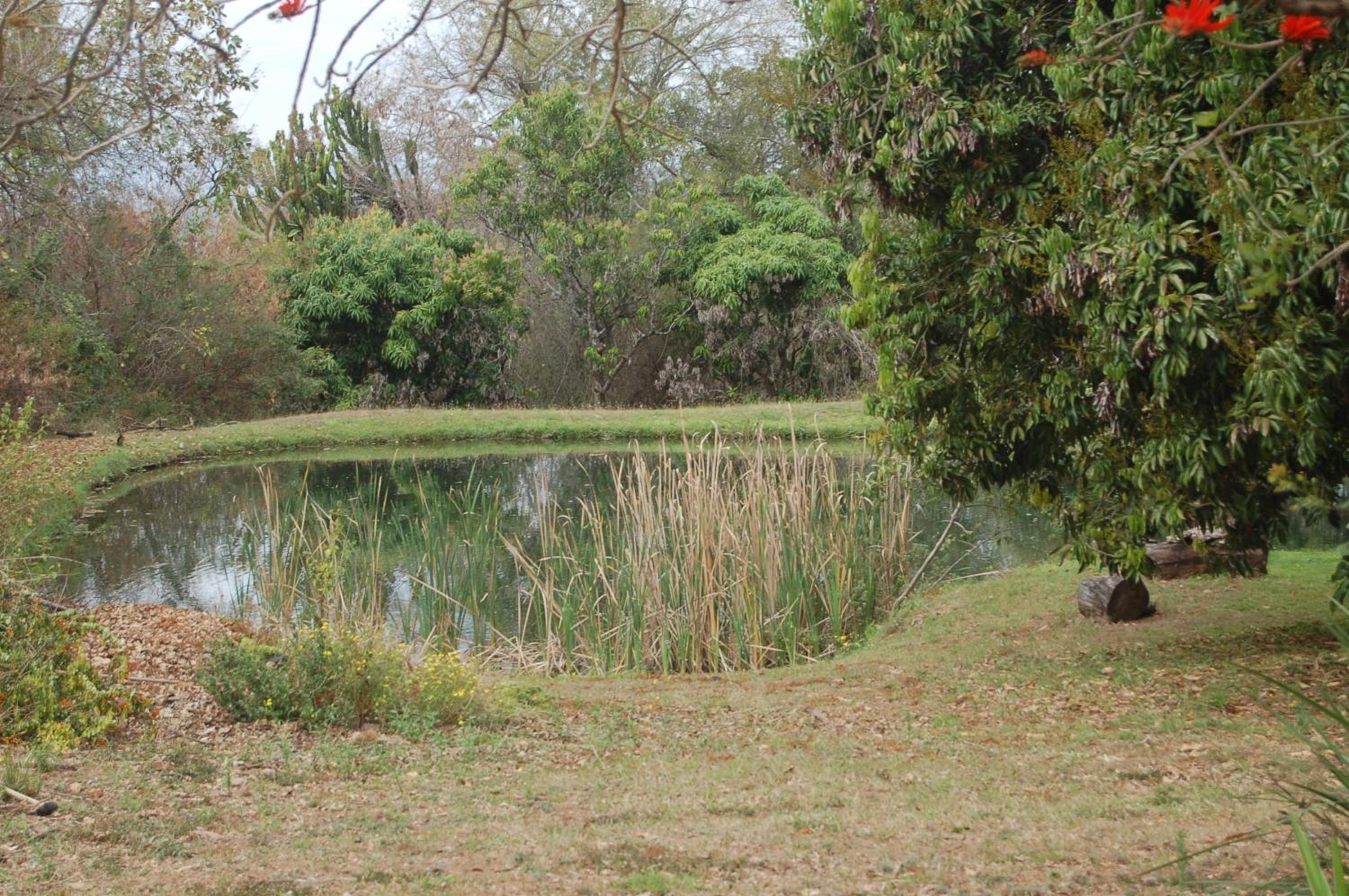Photo 31