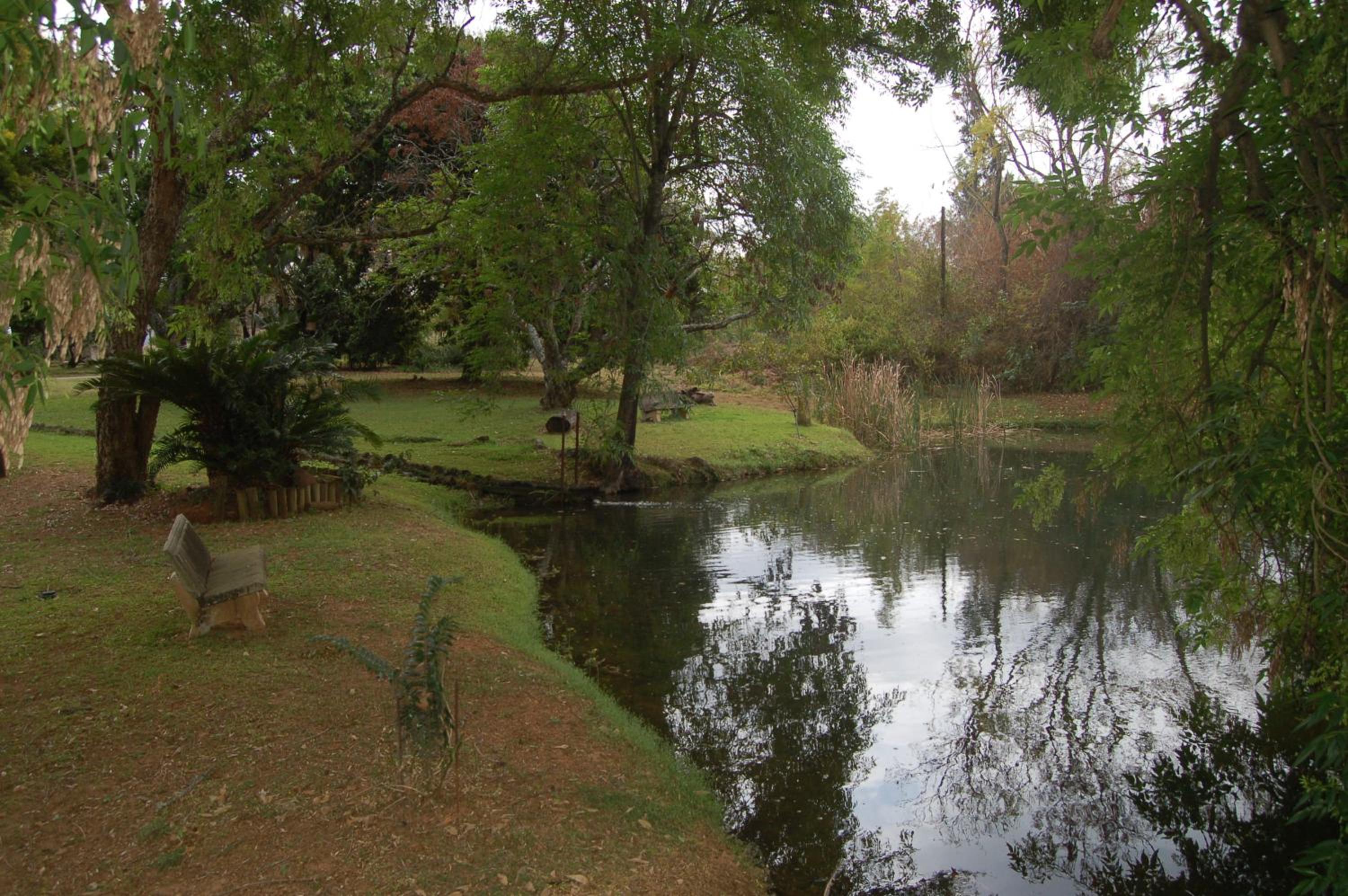 Photo 29