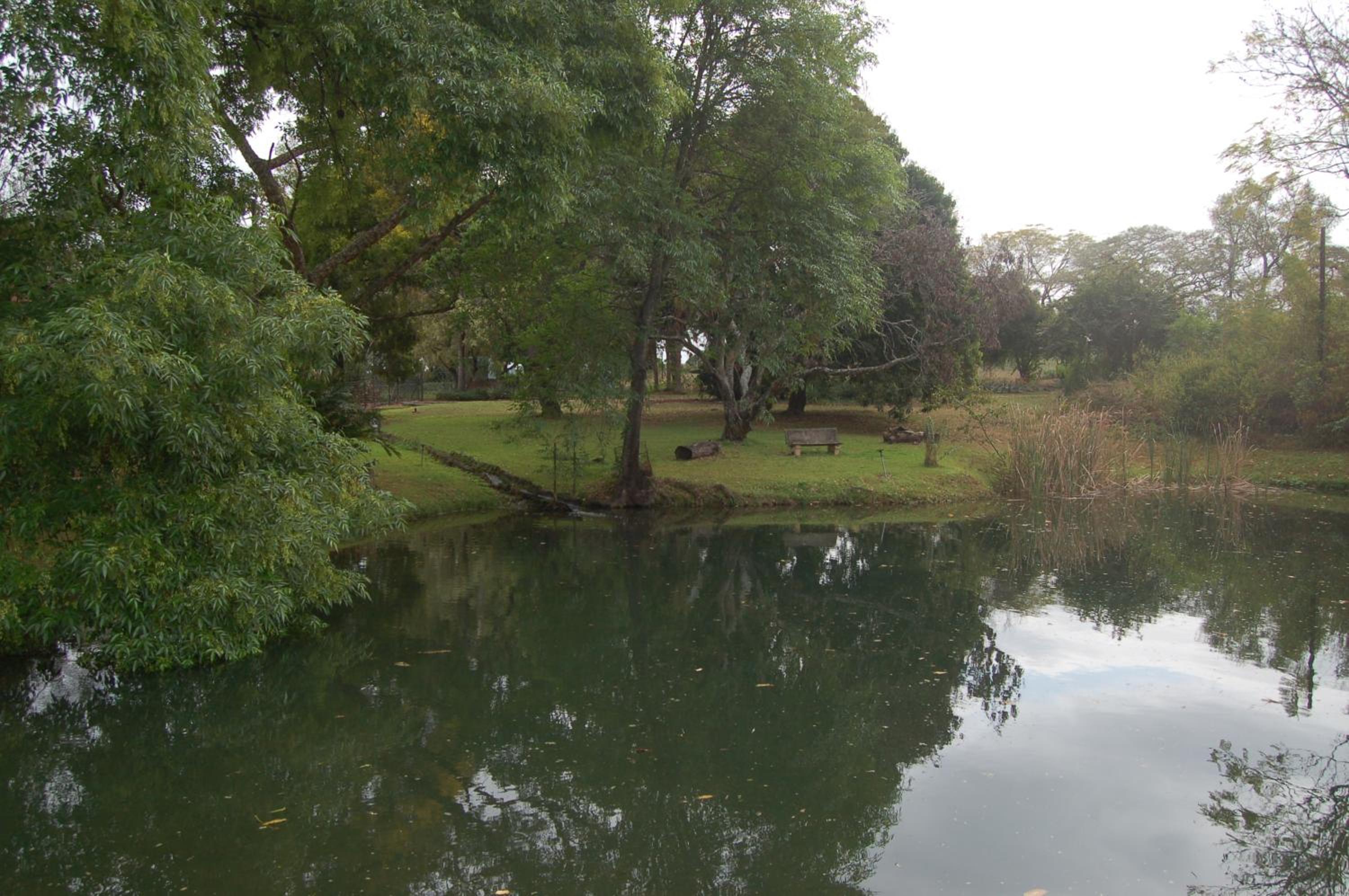 Photo 32