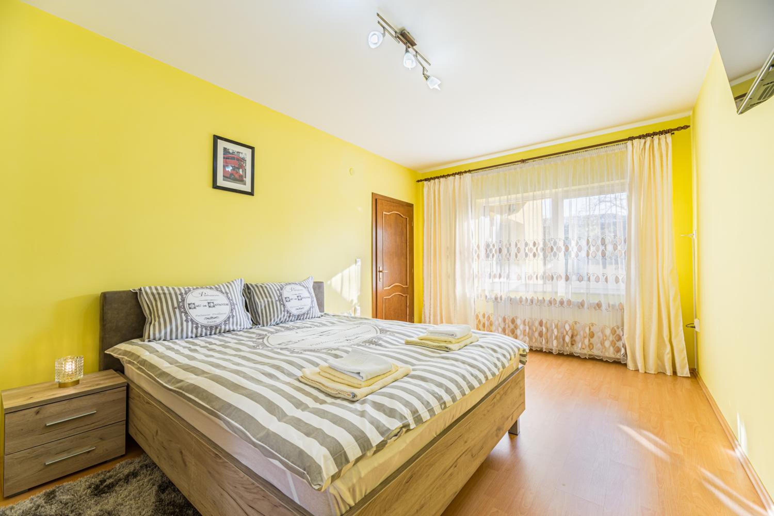 Casa David