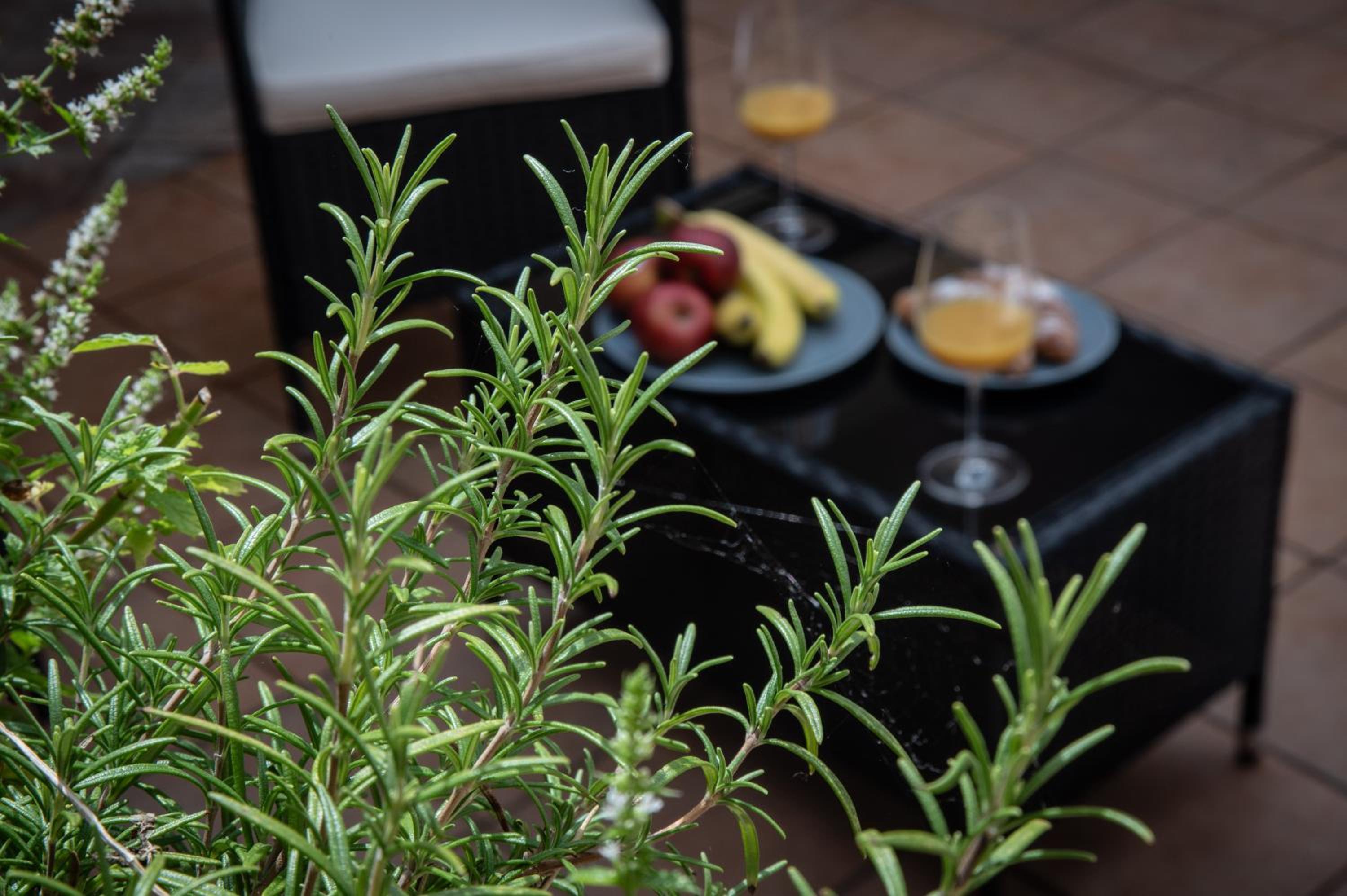 White Swan Boutique Apartments