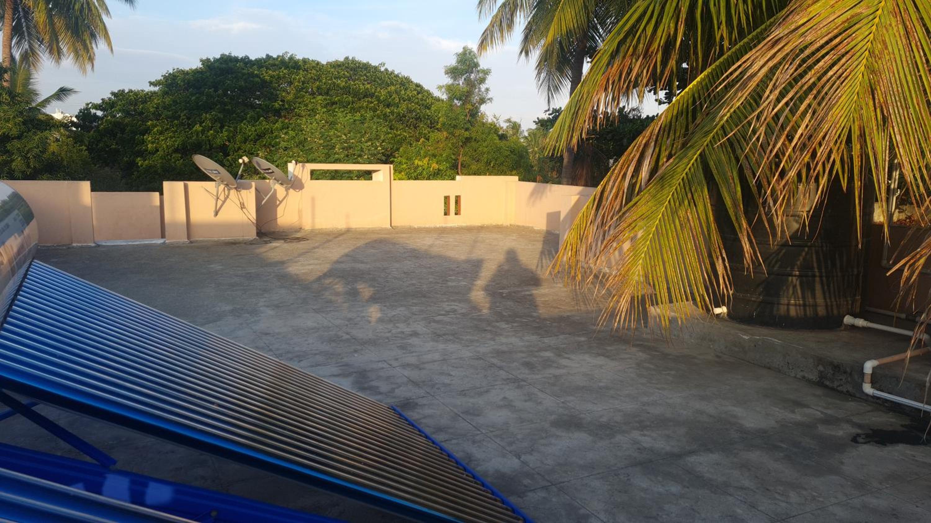 roof