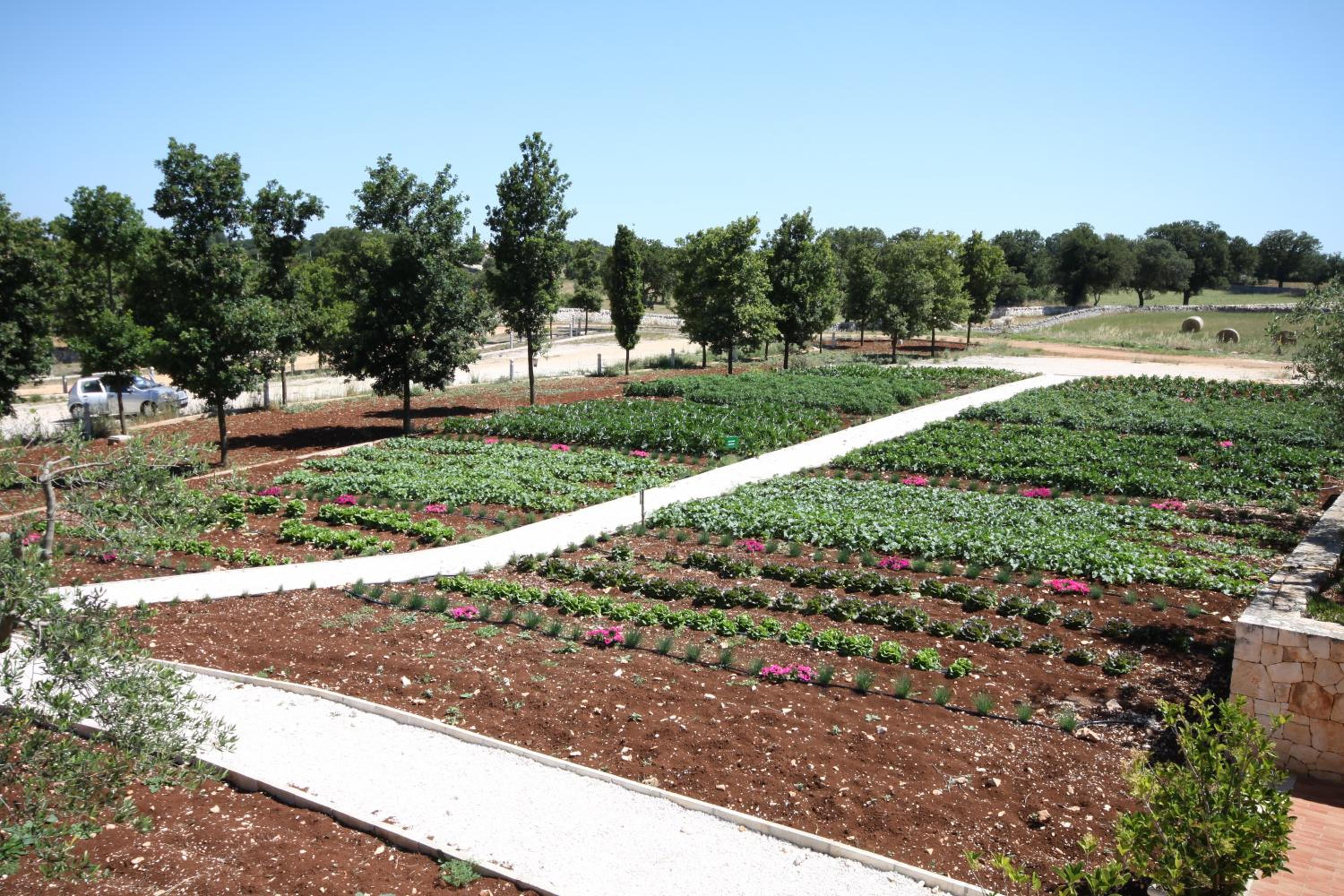 Apulia Victor Country Hotel