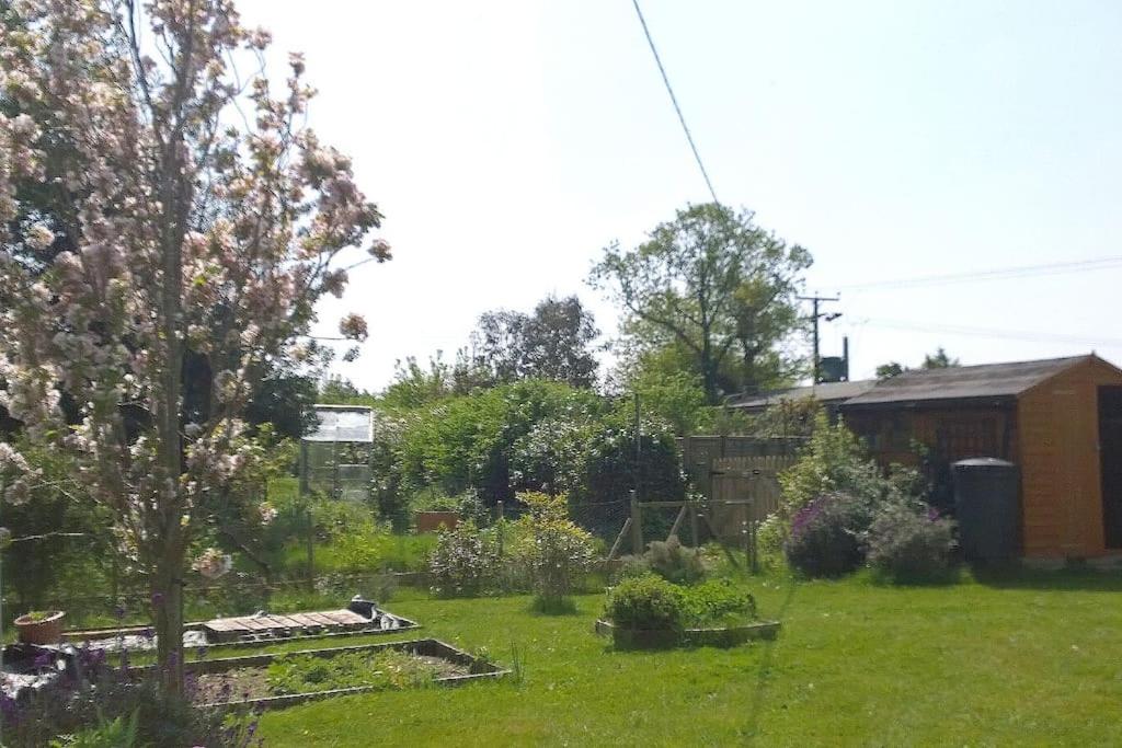 Photo 13
